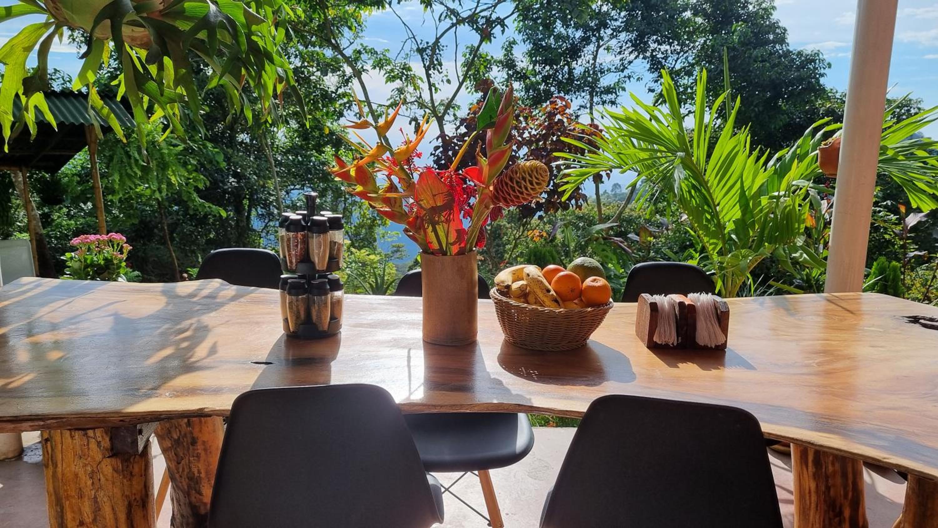 Minca Sintropia - Sustainable Lodge & Organic Coffee Finca