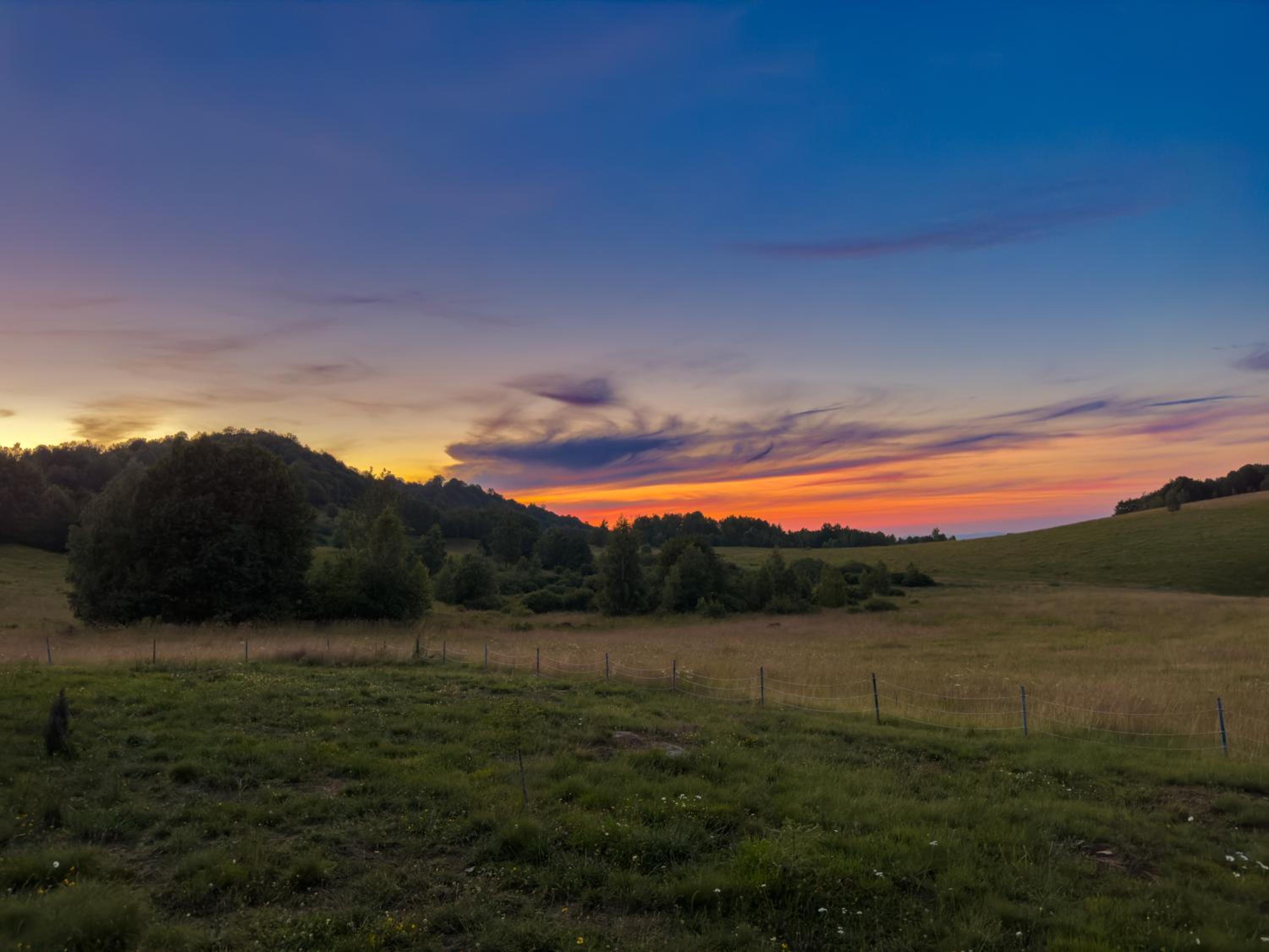 Căsuțele din Poiană view 2