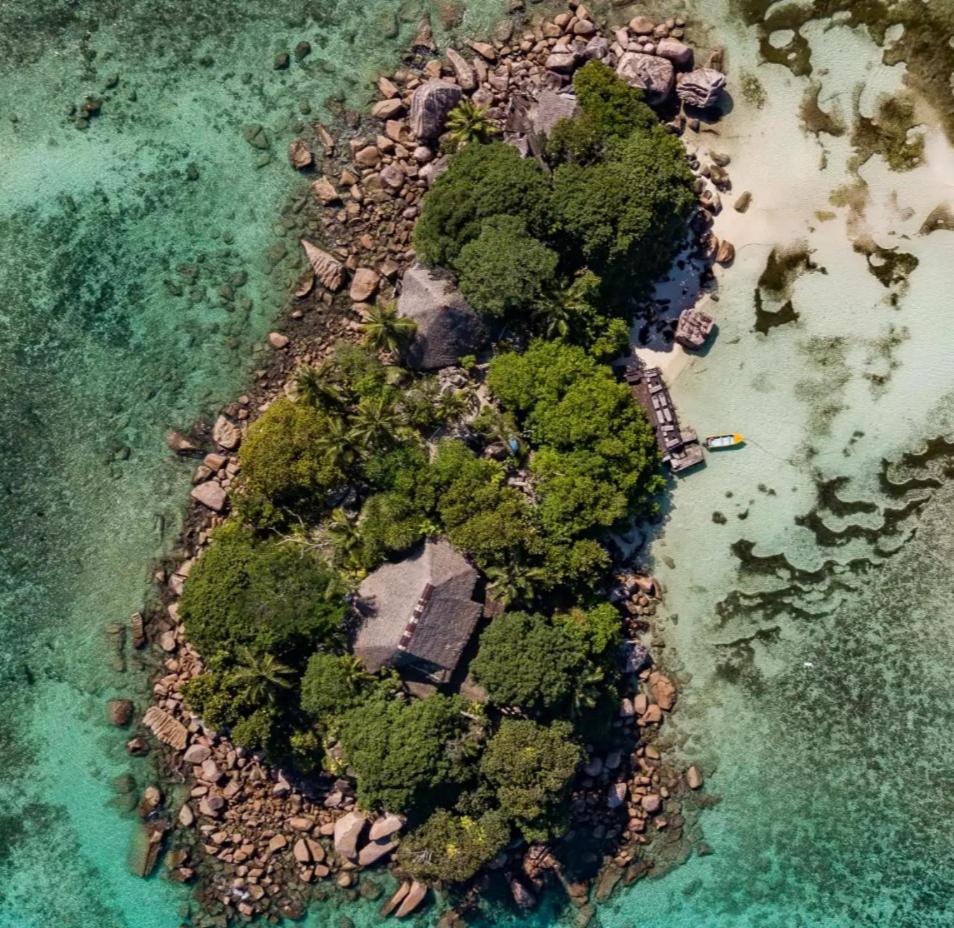 Chauve Souris Relais photo 3