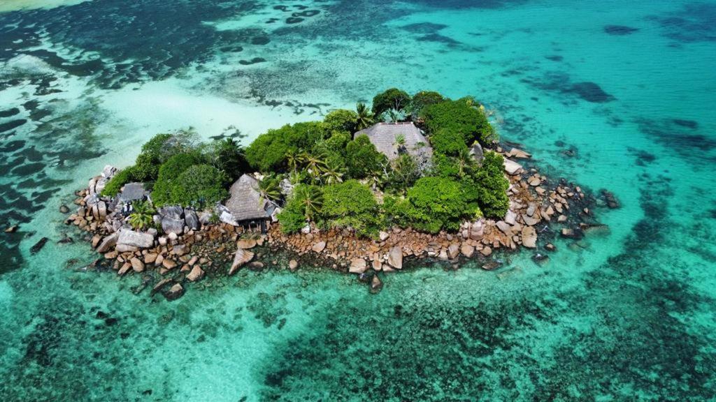 Chauve Souris Relais photo 2