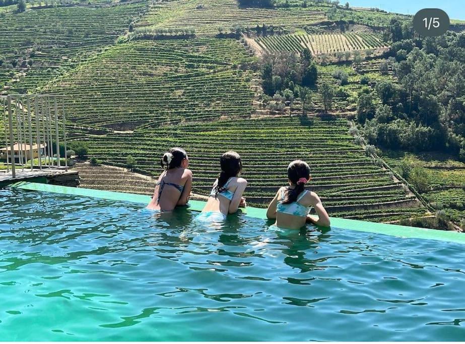 Outeiro Douro House view 2