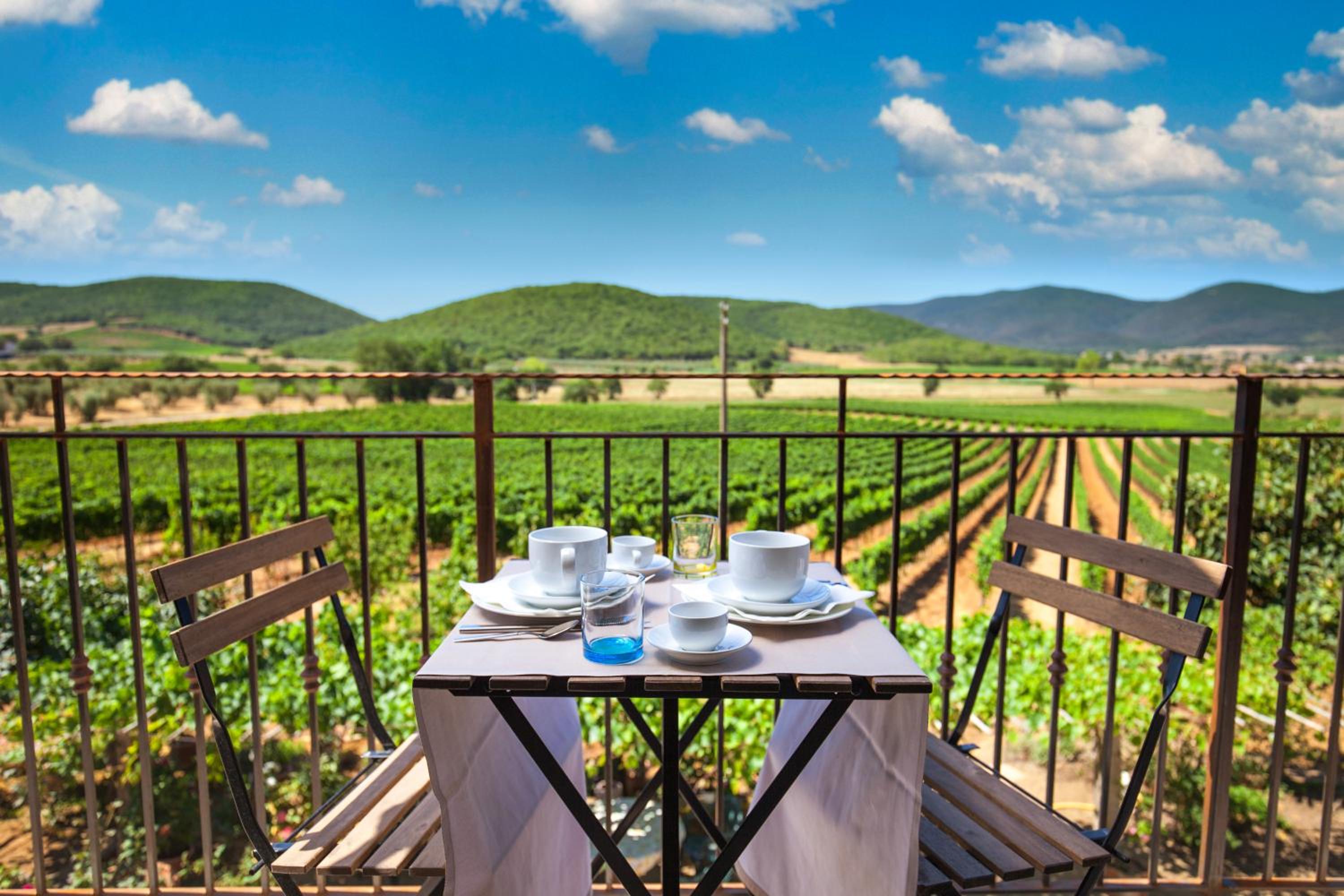 balance & terrace