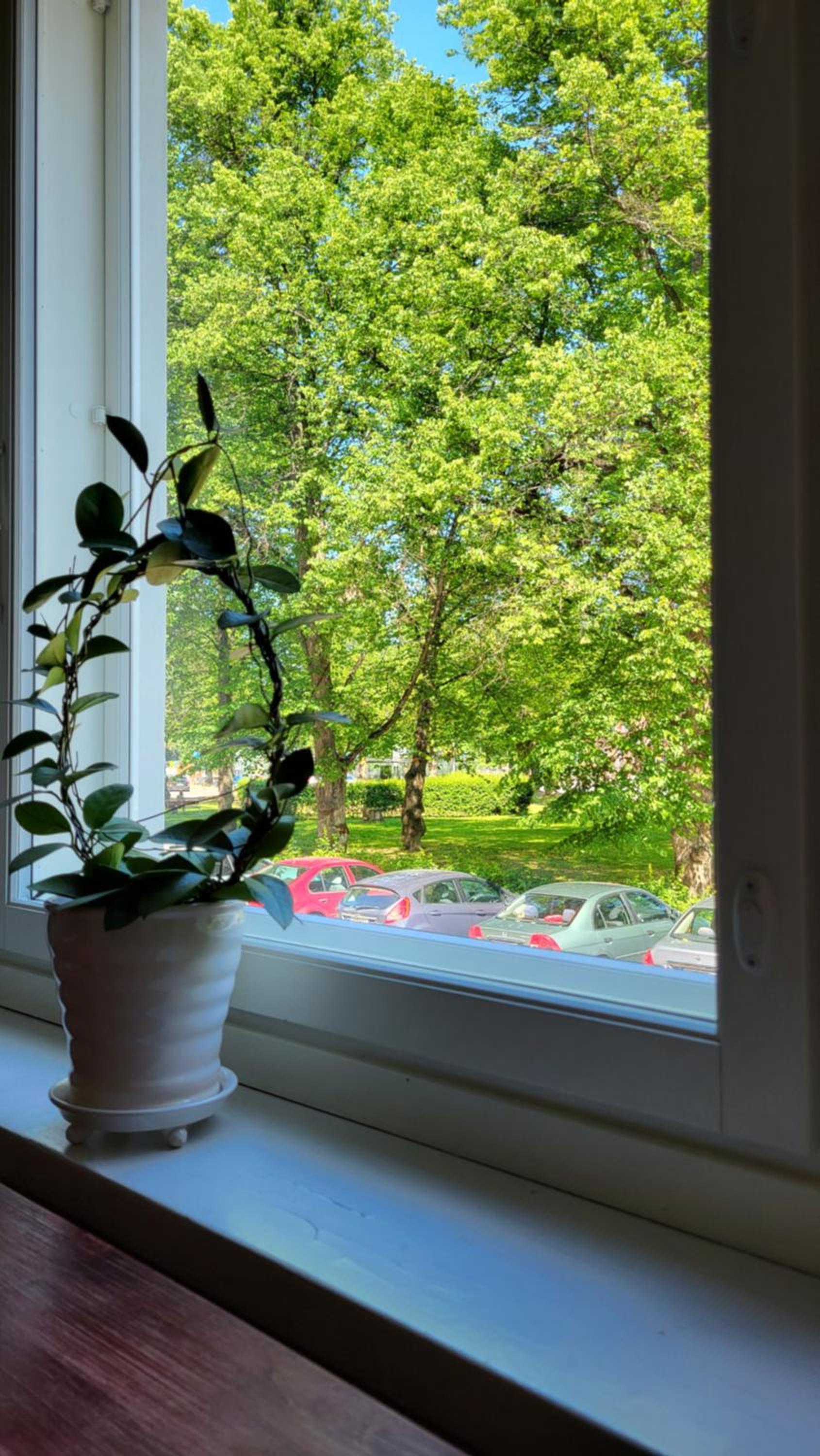 Peaceful and beautiful apartment near railwaystation and city centre