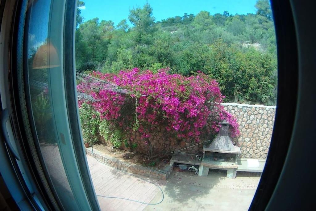 Photo 42