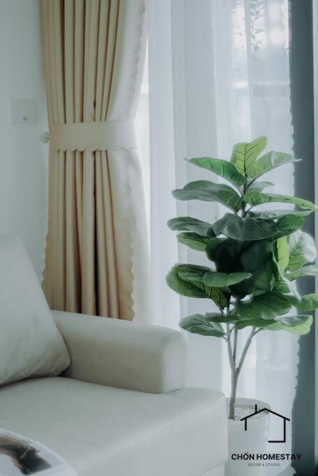 Chốn Homestay.Studio