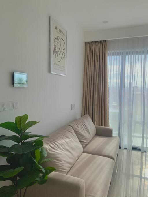 Chốn Homestay.Studio