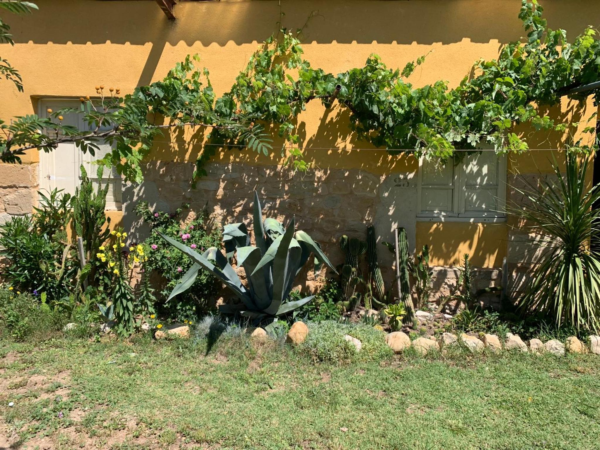 Casa Lina