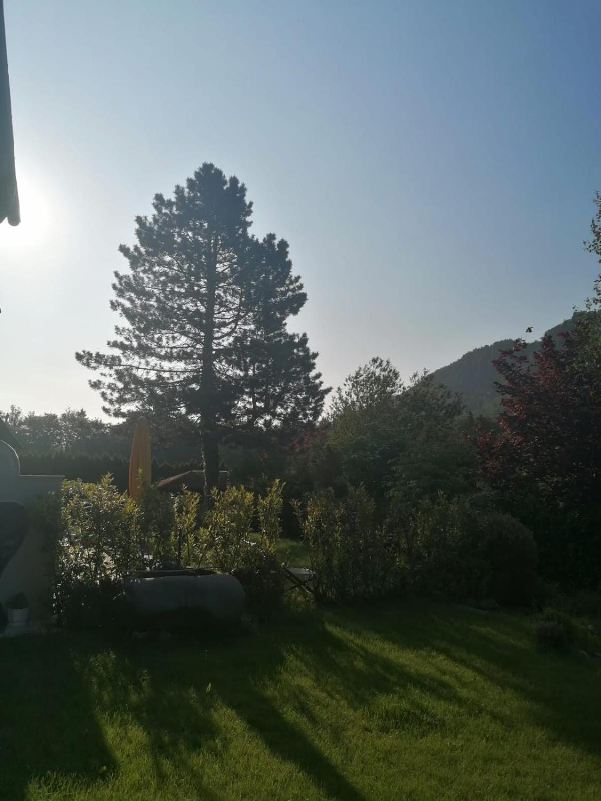 Appartment Nocksteinblick