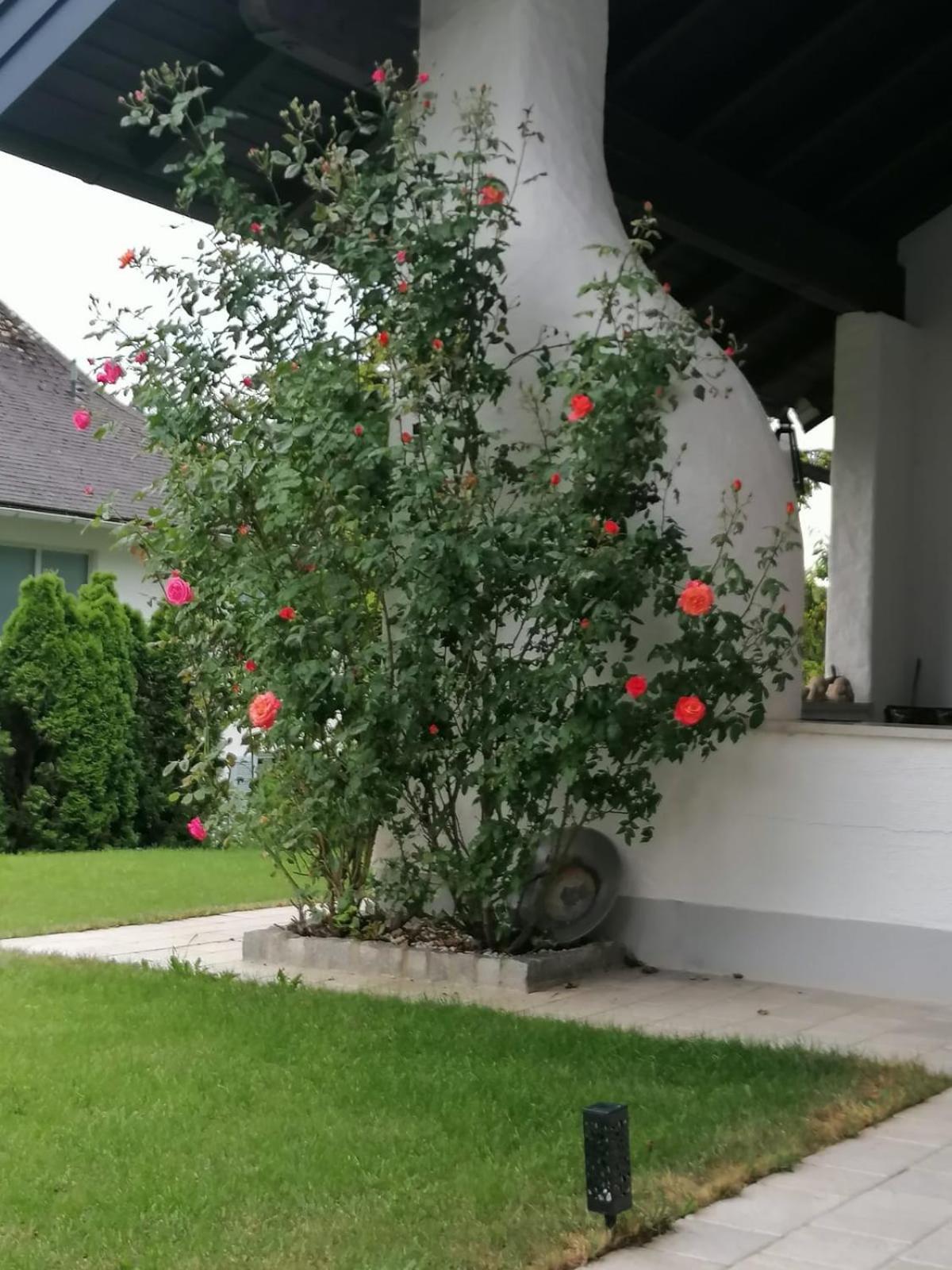 Appartment Nocksteinblick