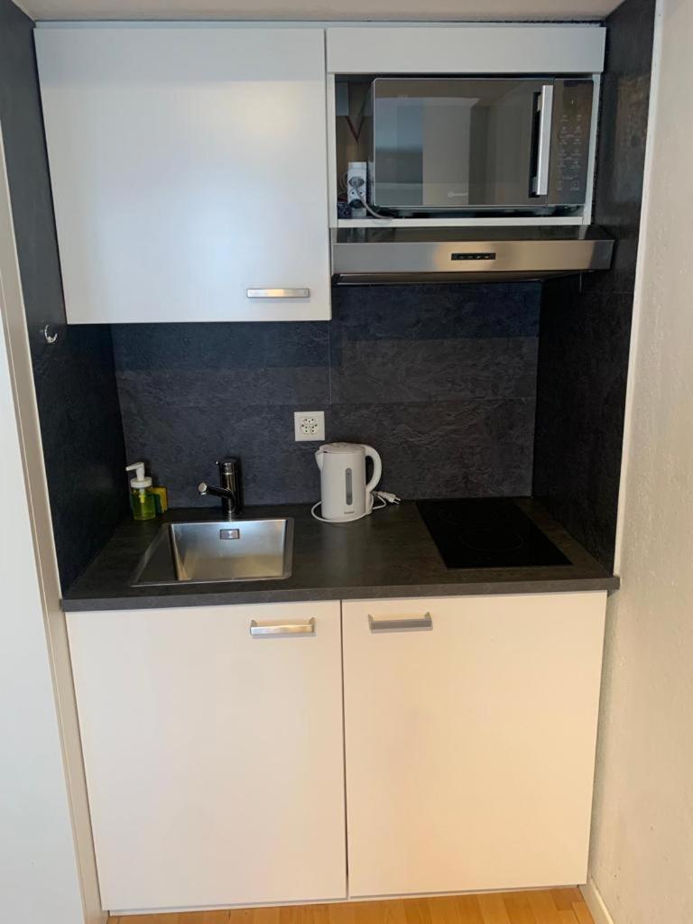 Cozy Studio Apartment Unit 11 in Center of Zurich