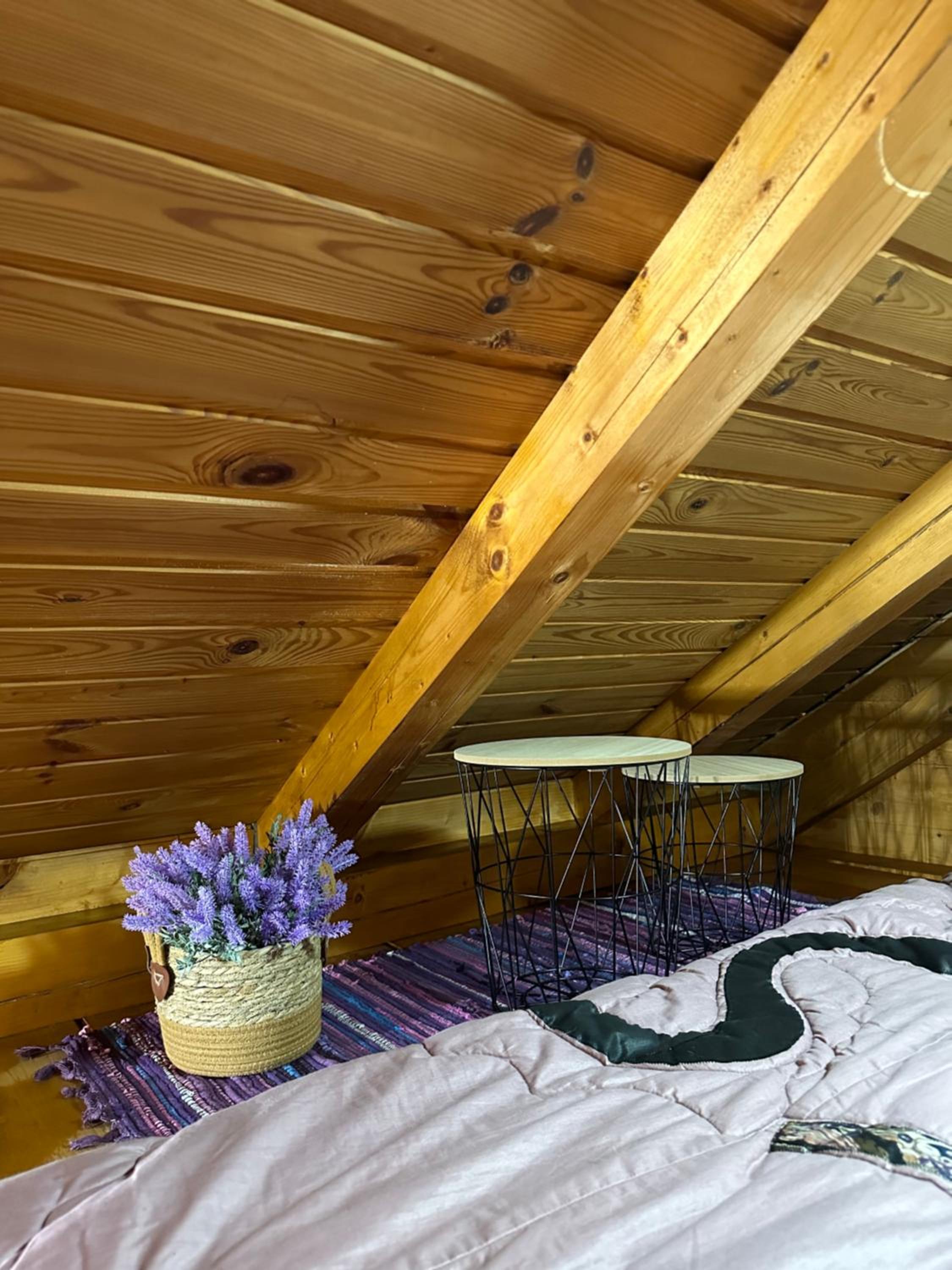 Ferienhaus_natikrausz