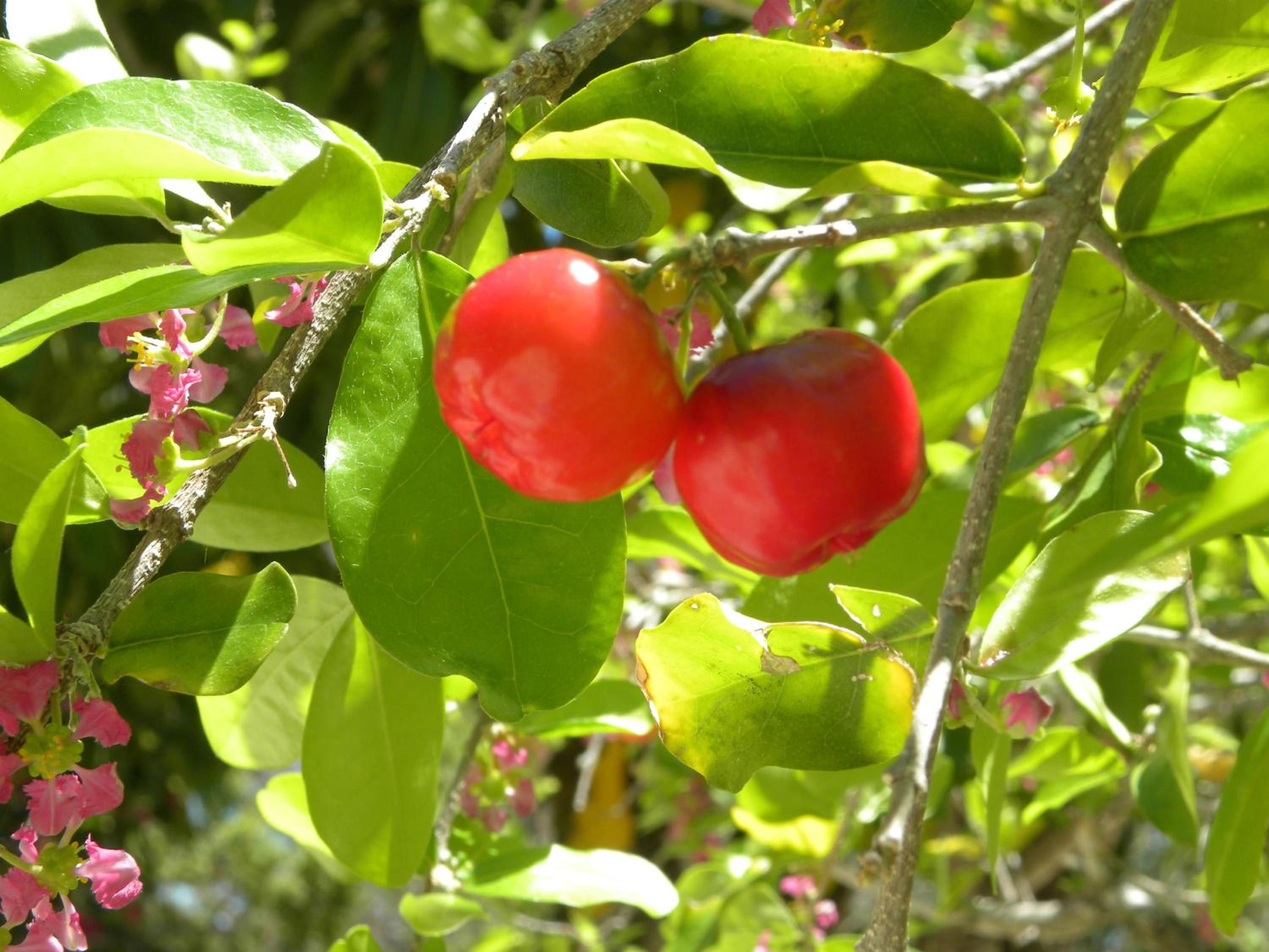 Photo 10