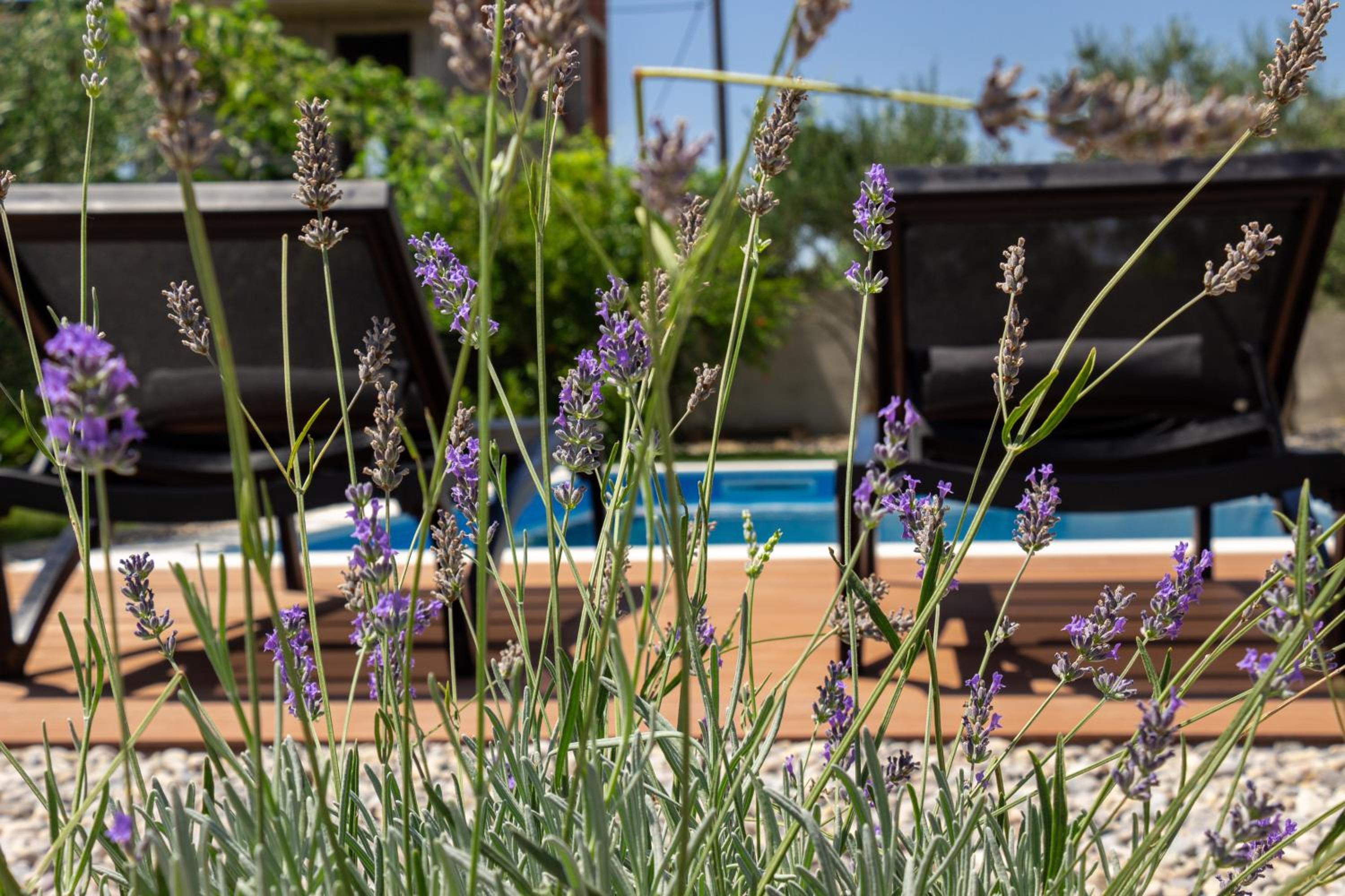 Podstrana Vacations - Family House "Villa Gyra" with Private Swimming Pool, Indoor BBQ, Gym and Gaming room! - Property Image 8