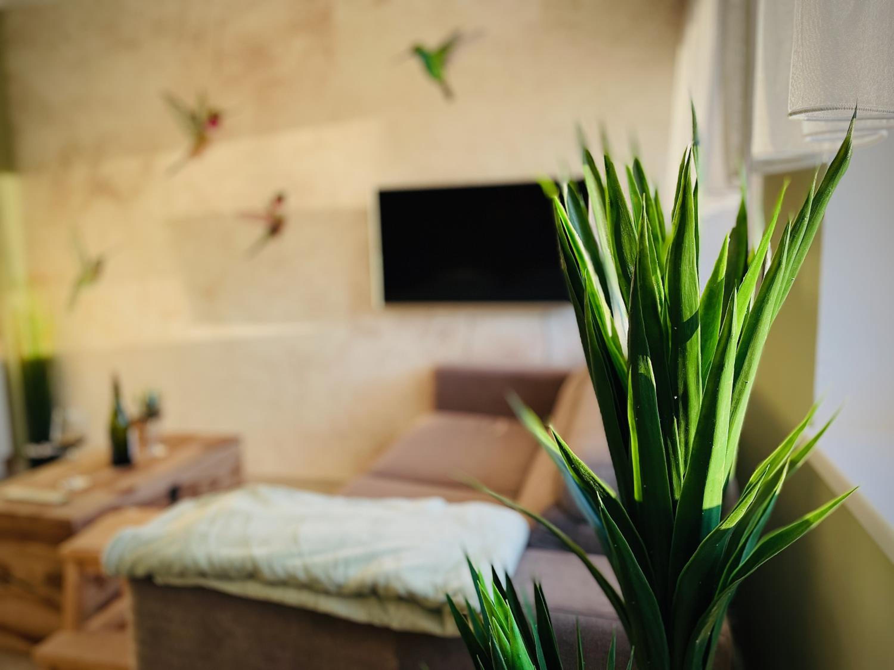 Apartmány Petr Vok