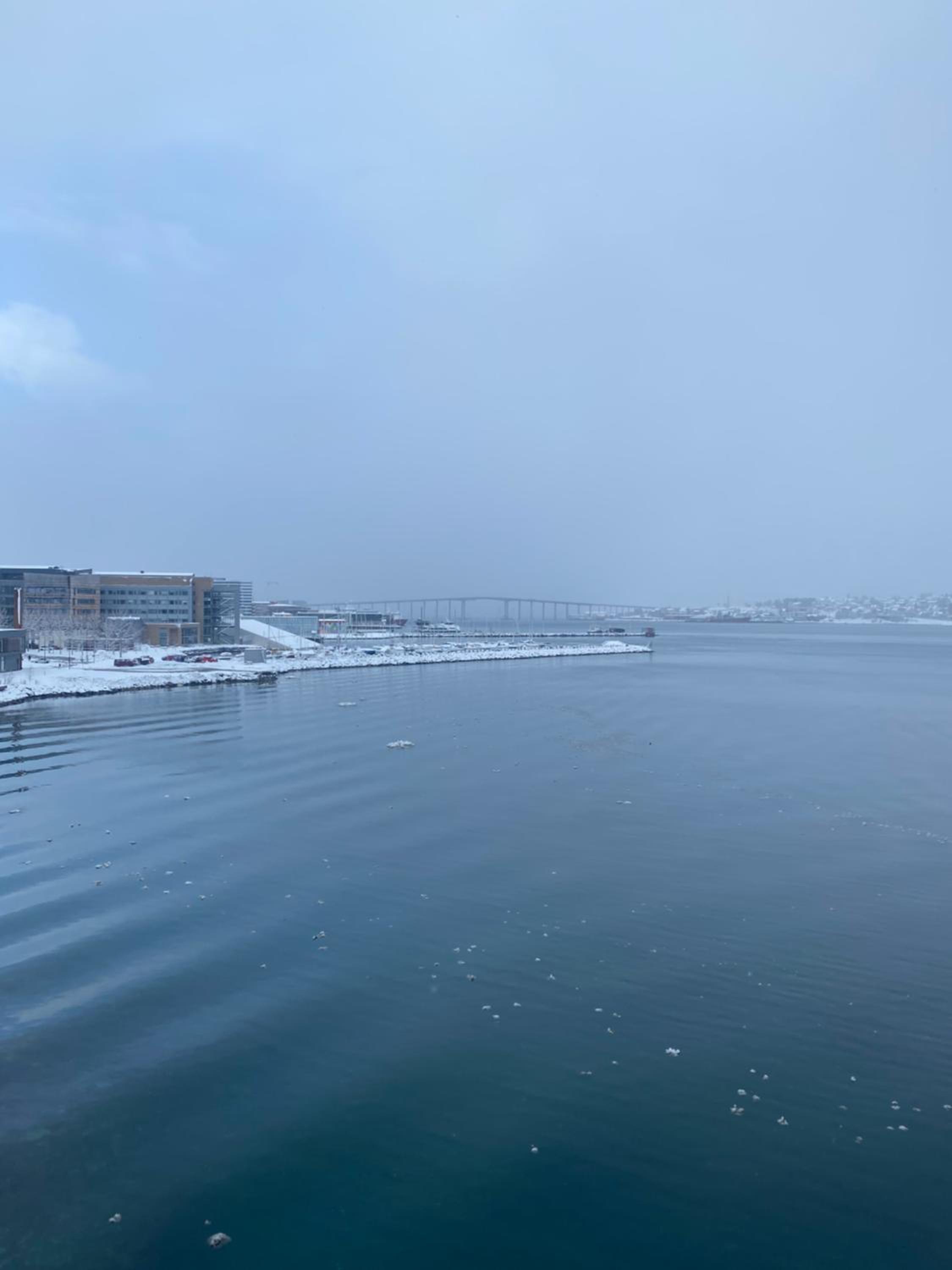 Seaside panorama