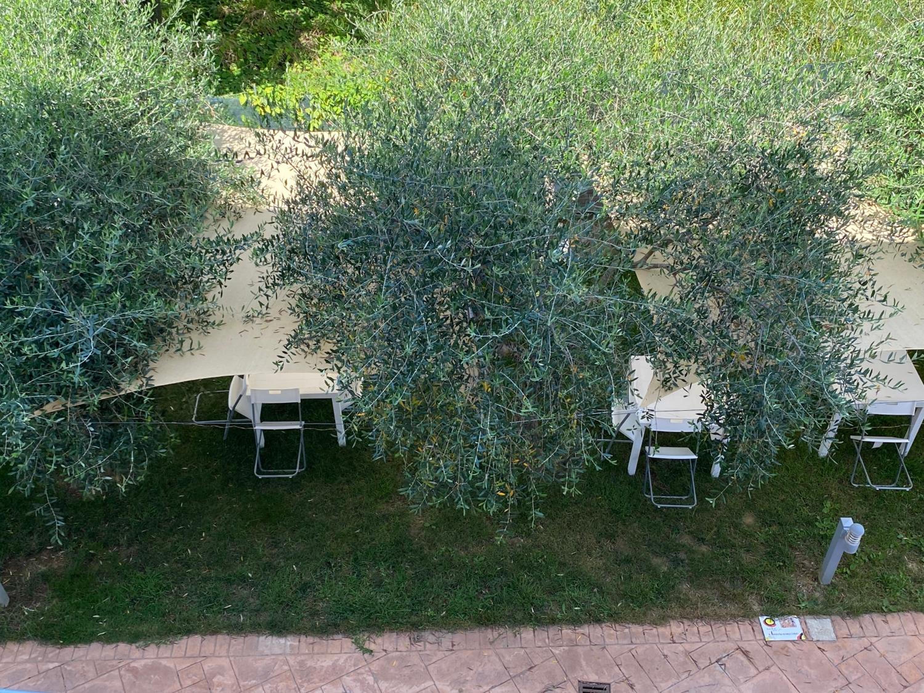 Miro' Agropoli