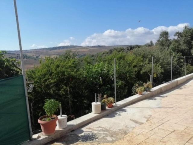 Stavros Agios Dimitrianos Village House