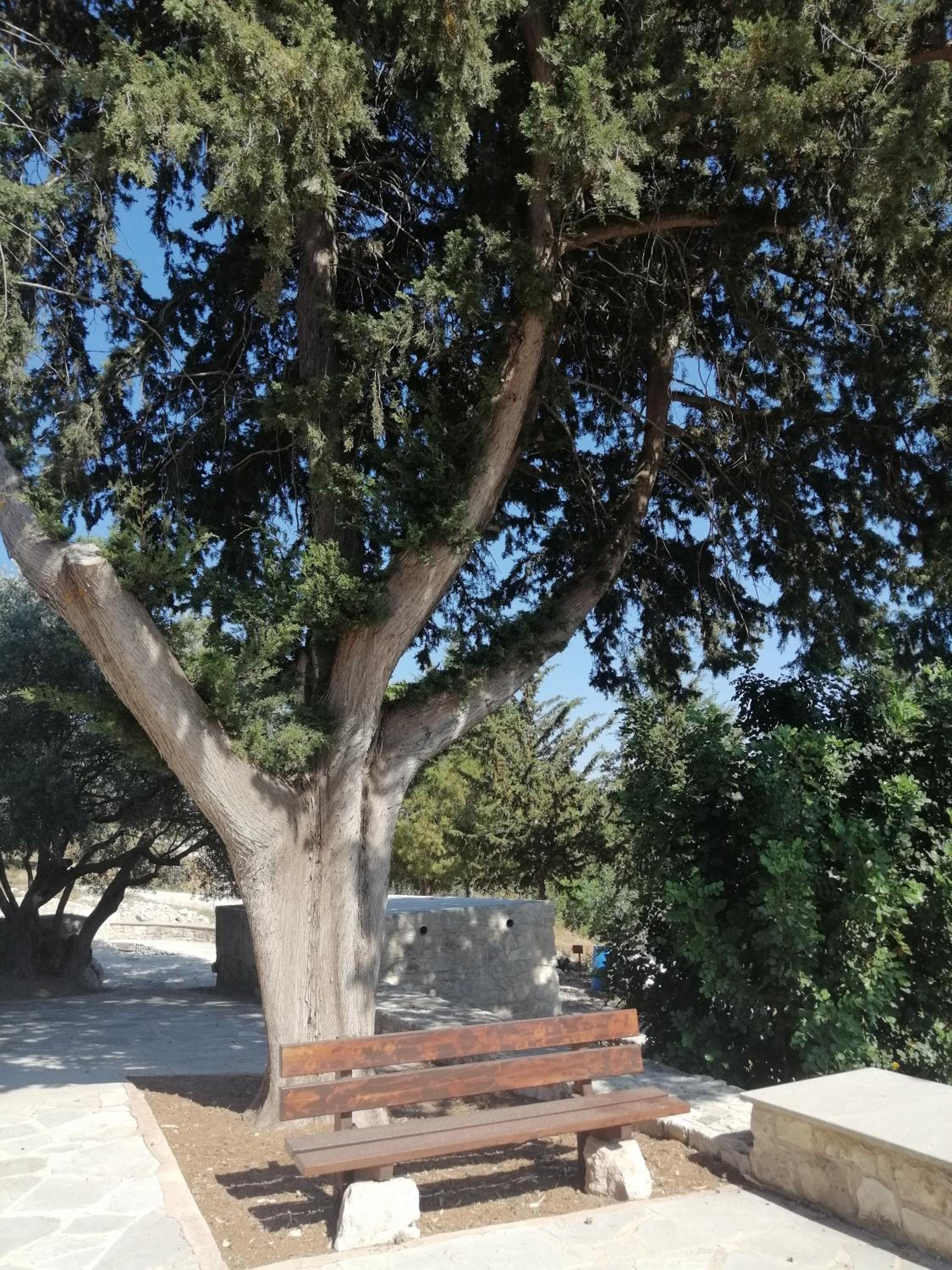 Stavros Agios Dimitrianos Village House