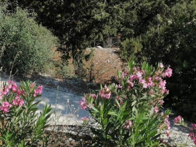Stavros Agios Dimitrianos Village House