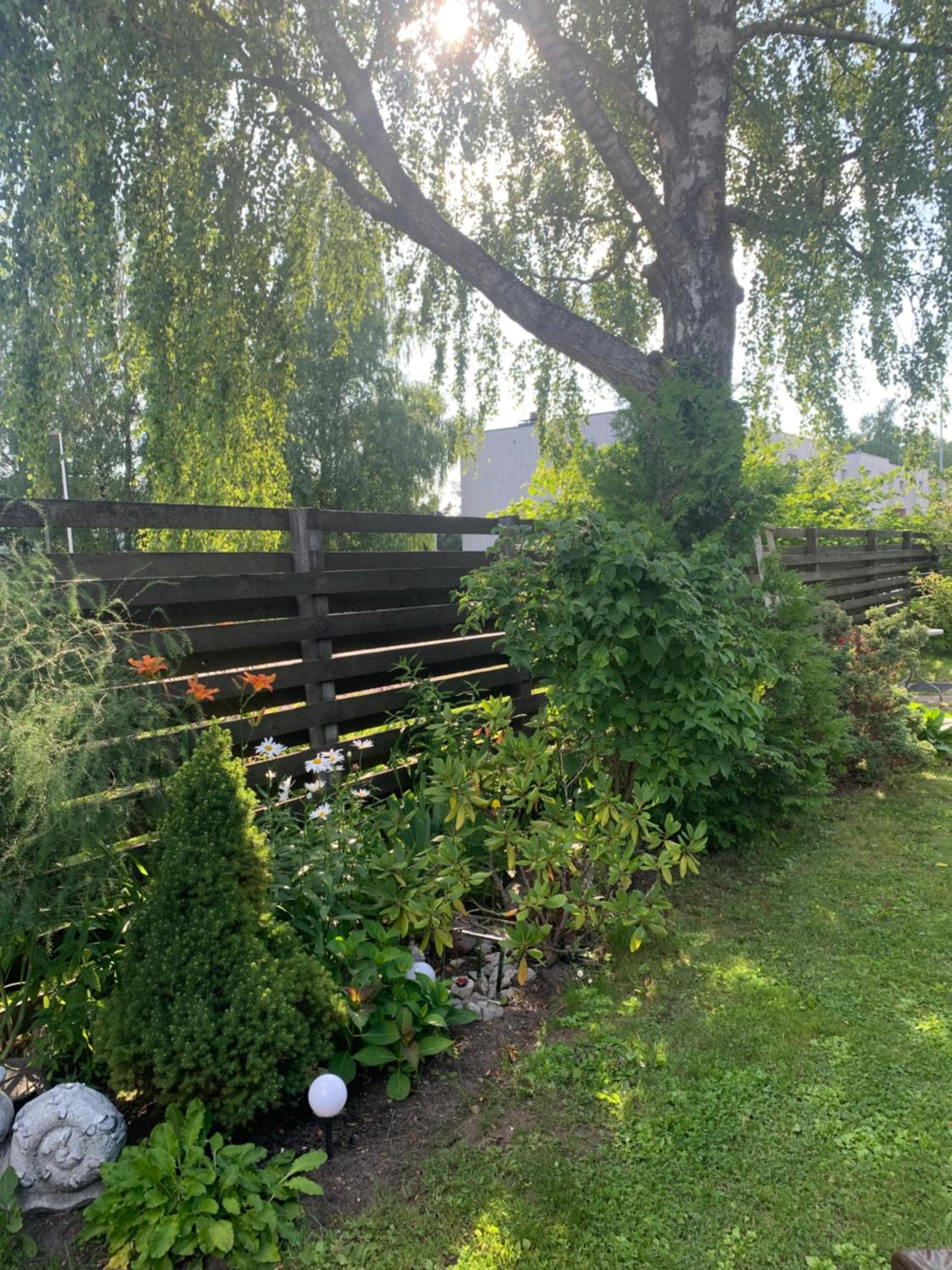Vahe apartment, Pärnu
