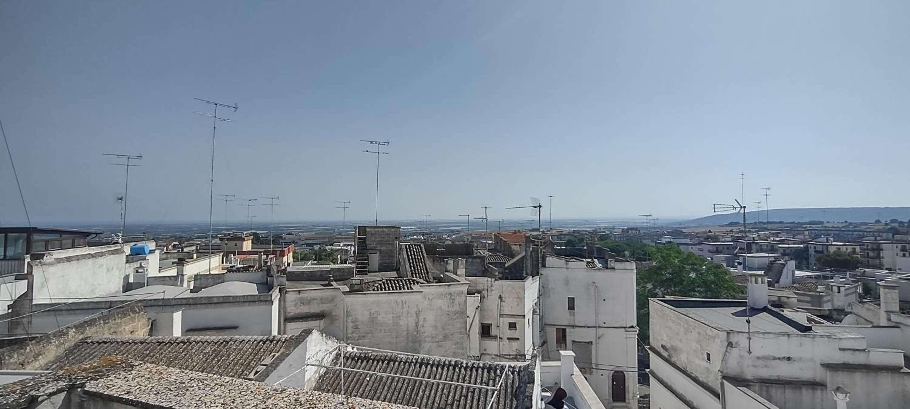 roof