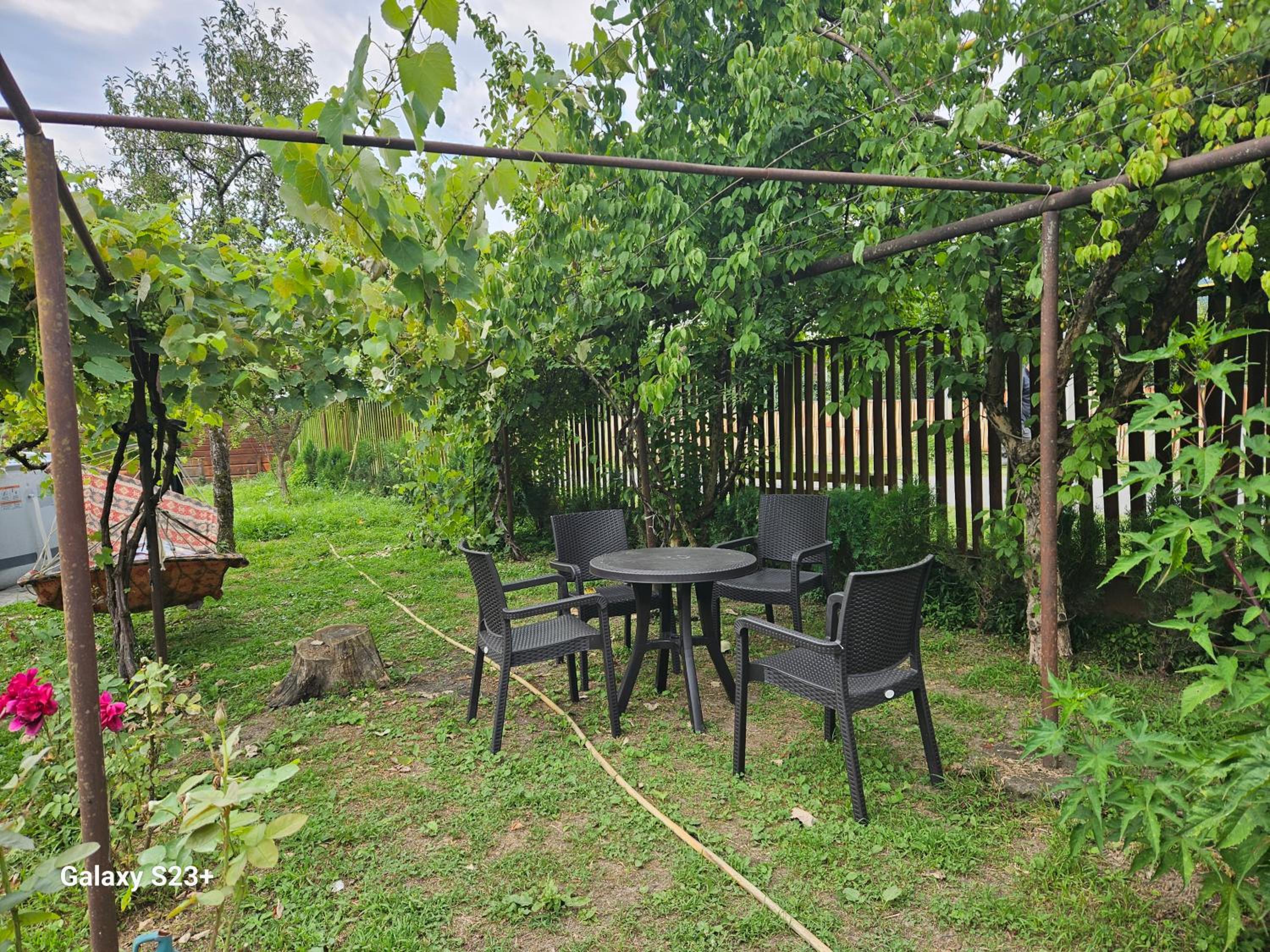 Guest house T/S in Lagodekhi / khizabavra view 2