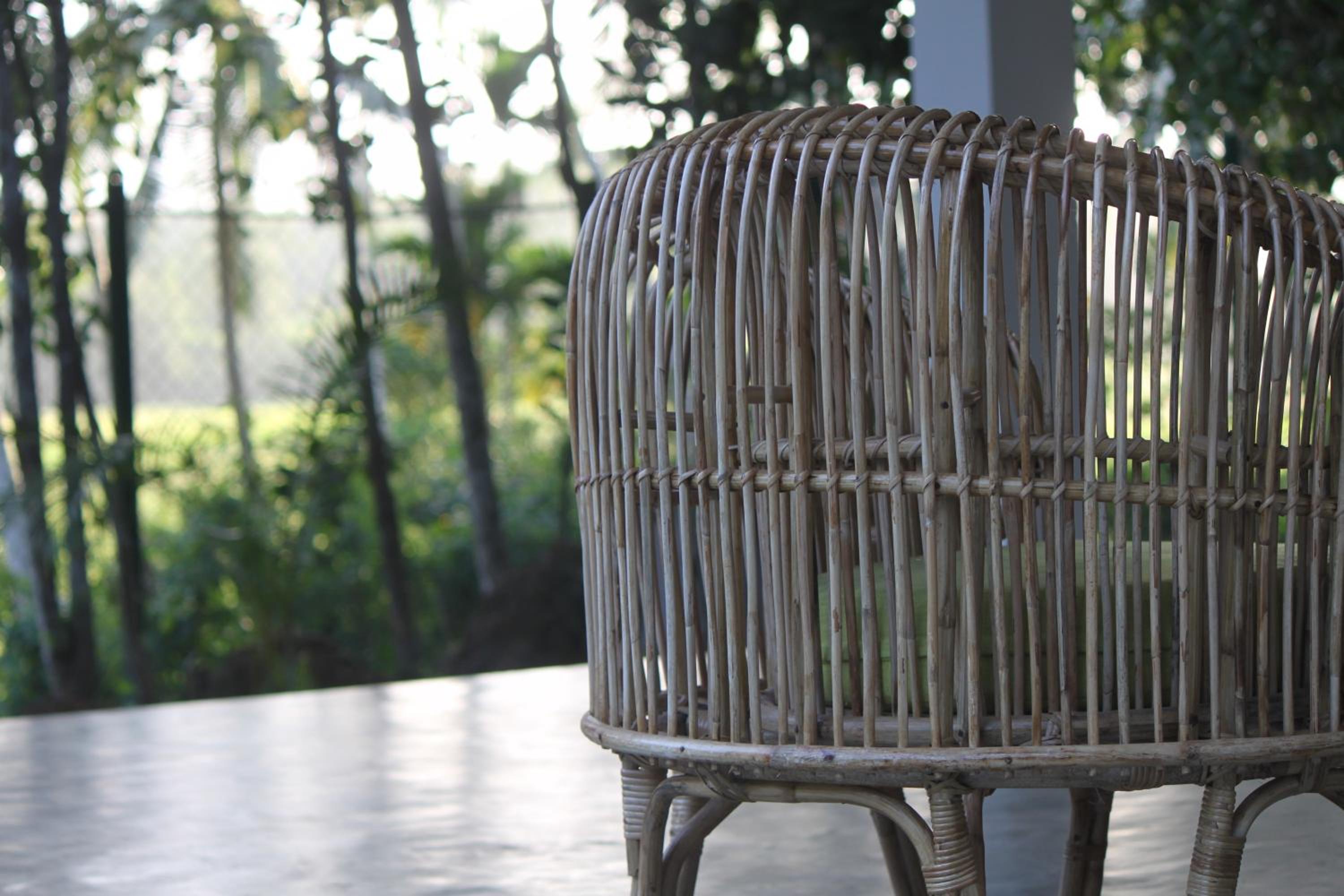 Ebony Boutique Villa