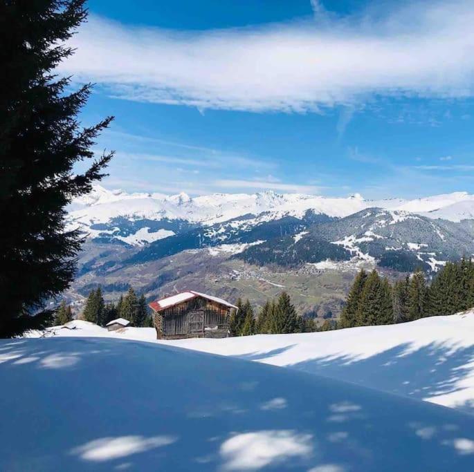 Beautiful Swiss chalet with breathtaking views and a sauna