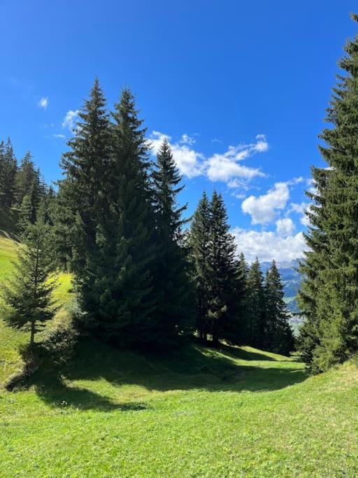 Beautiful Swiss chalet with breathtaking views and a sauna