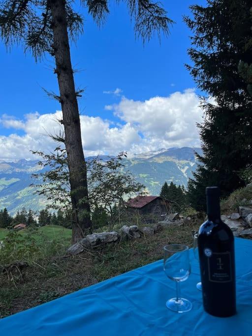 Beautiful Swiss chalet with breathtaking views and a sauna