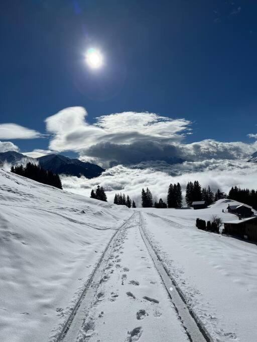 Beautiful Swiss chalet with breathtaking views and a sauna