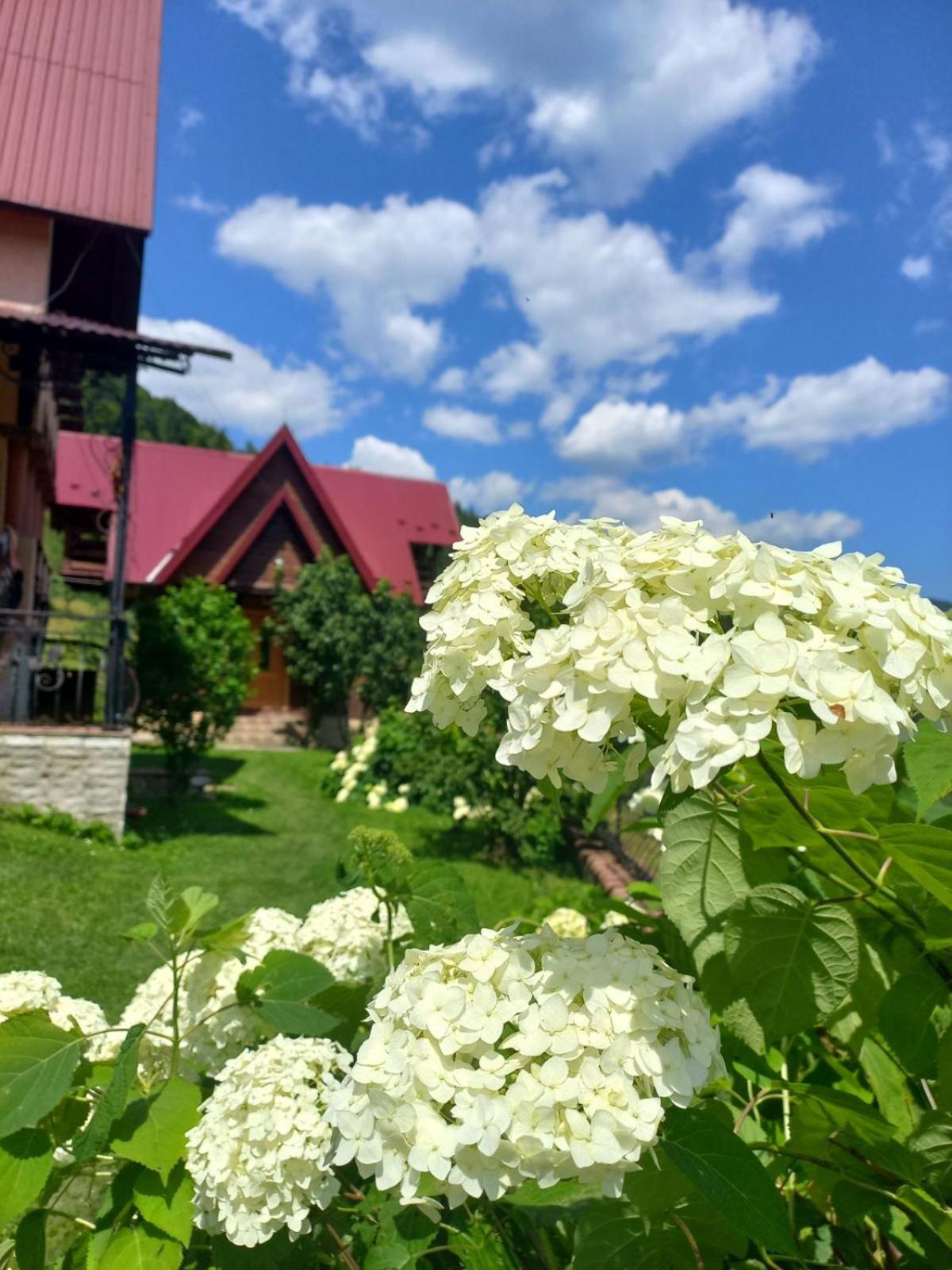 Cottage "Karpatske Shale" view 4
