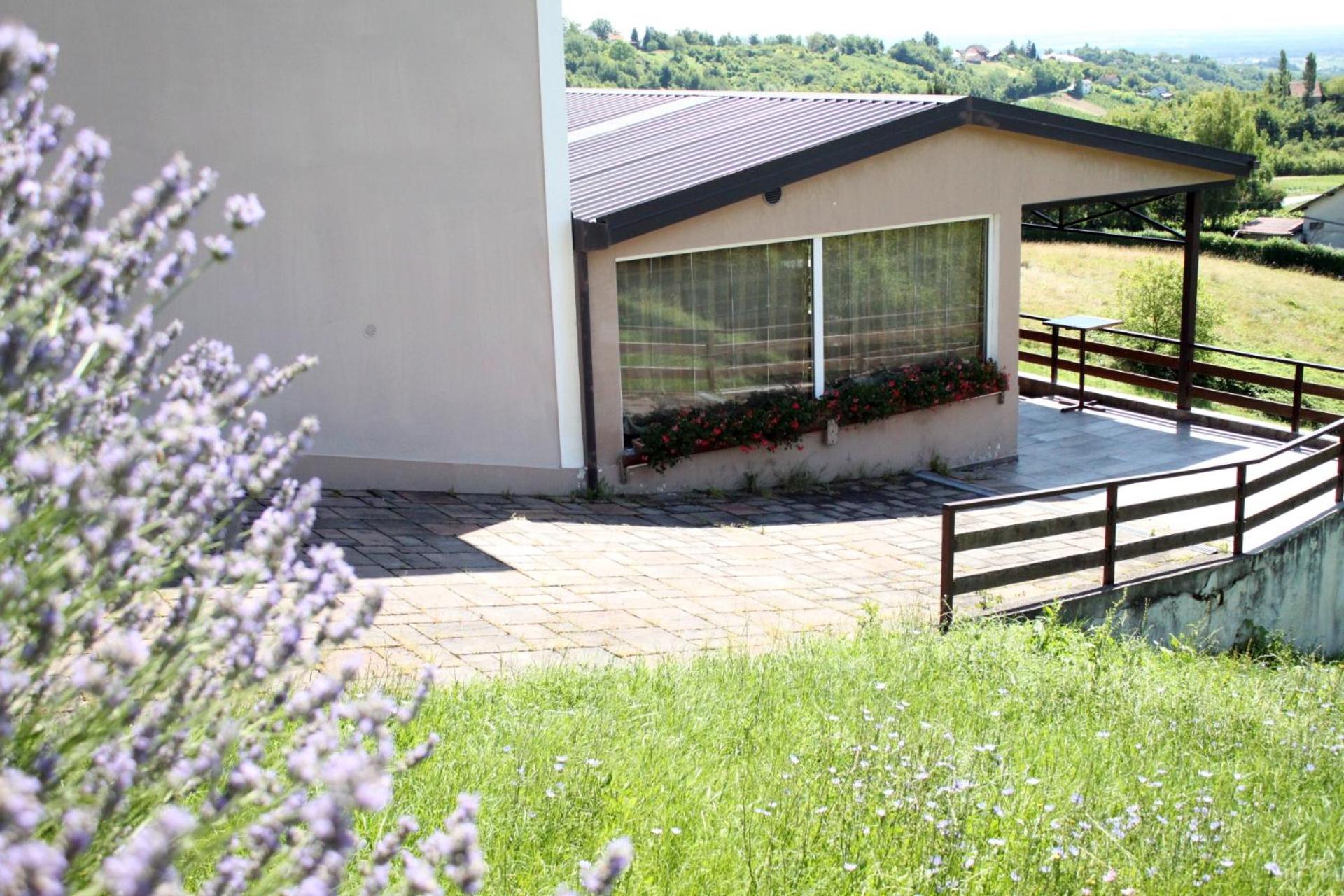 Guesthouse Režekov podrum view 2