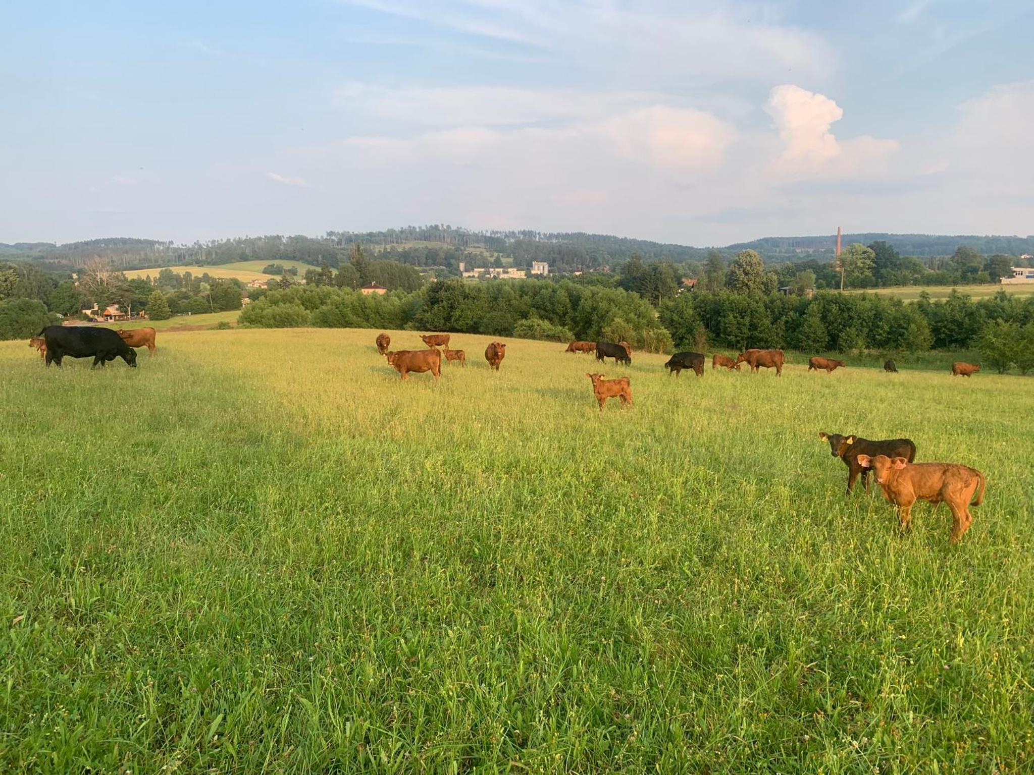 Farma u Prokopů Humpolec