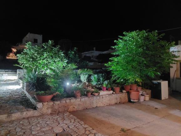 Belessi's Mansion photo 5