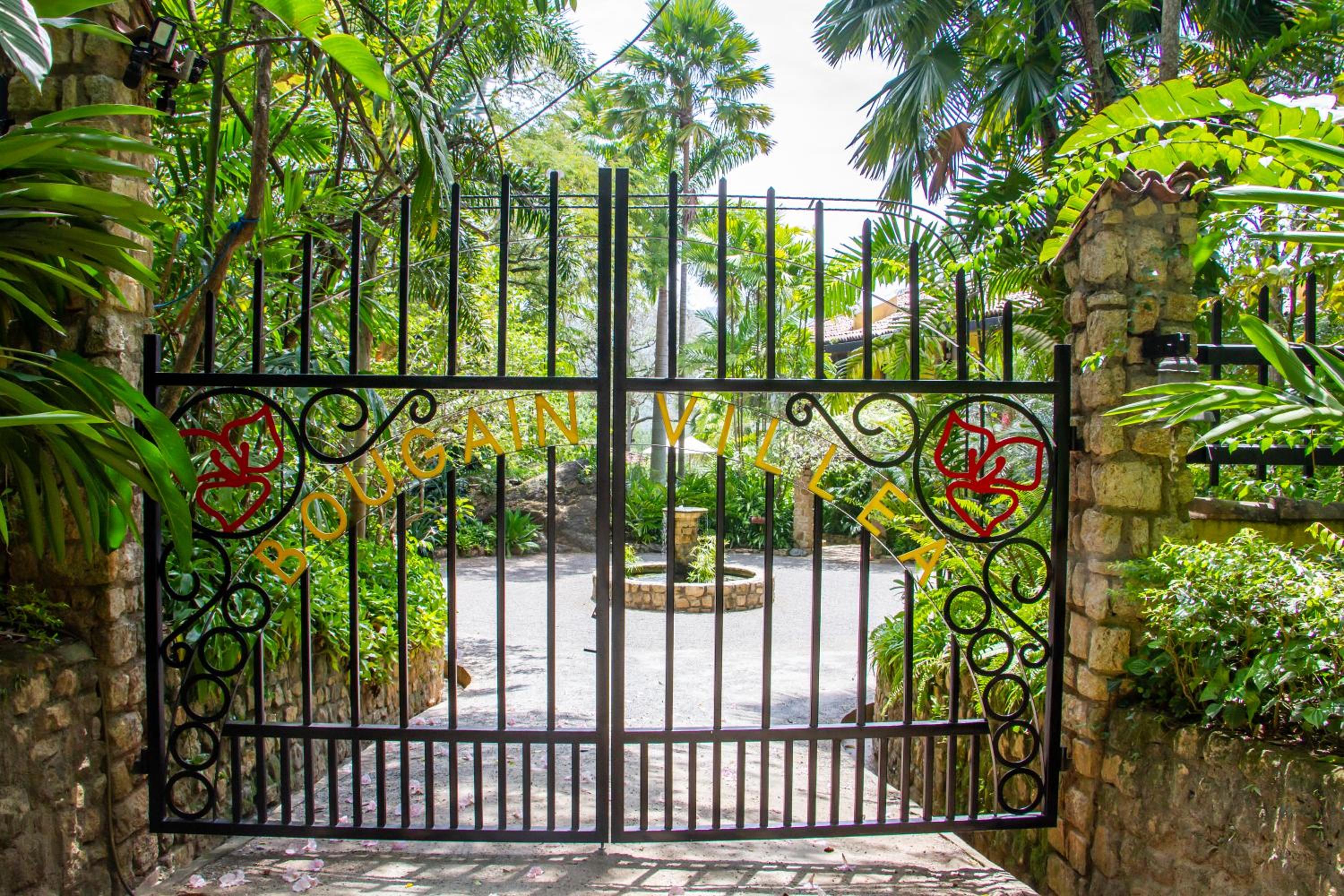 Bougainvillea Retreat