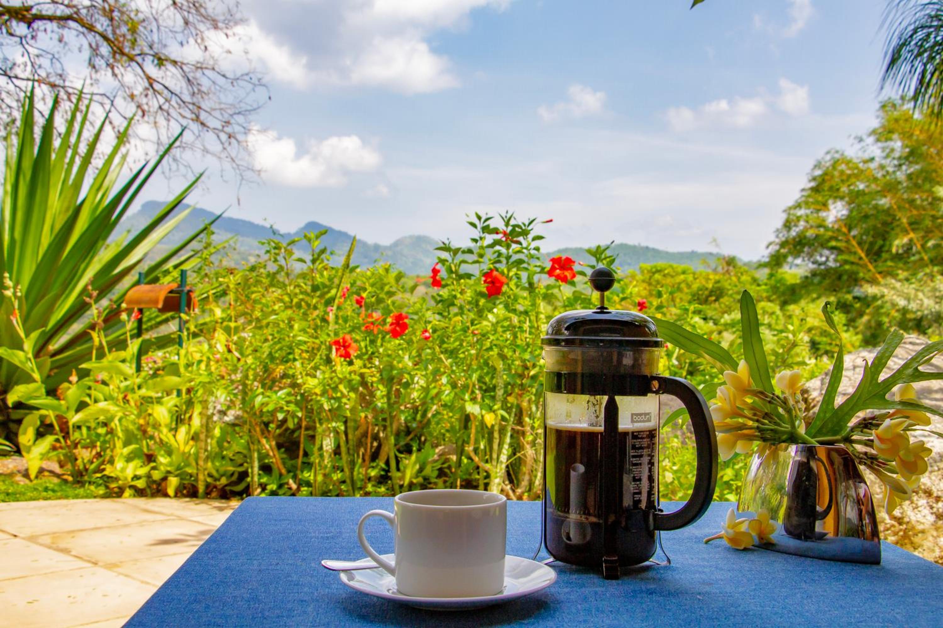 Bougainvillea Retreat