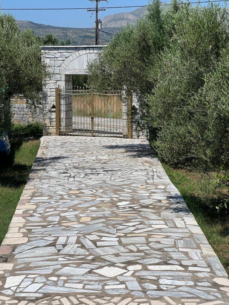 Photo 27