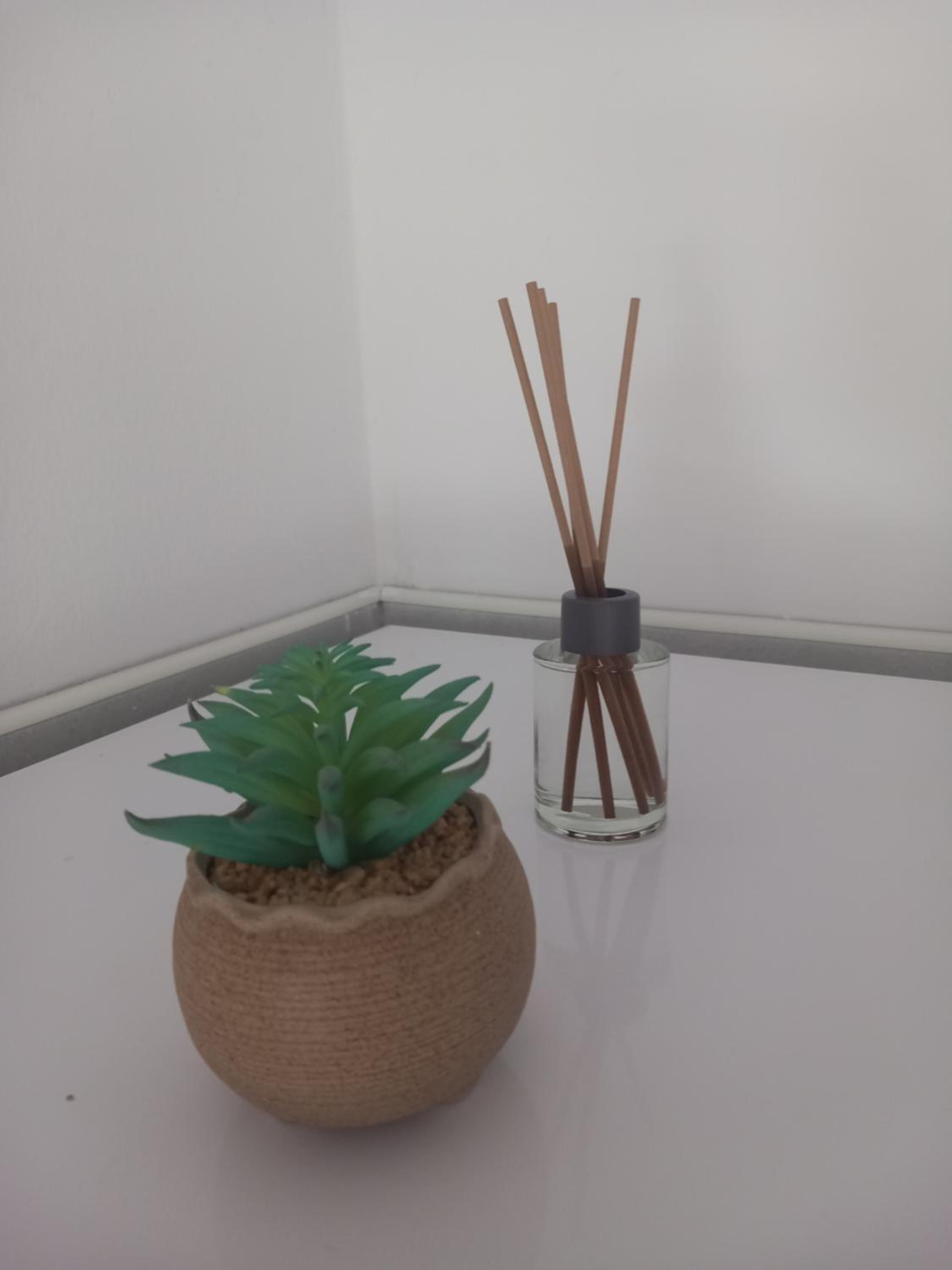 Apartman Deni