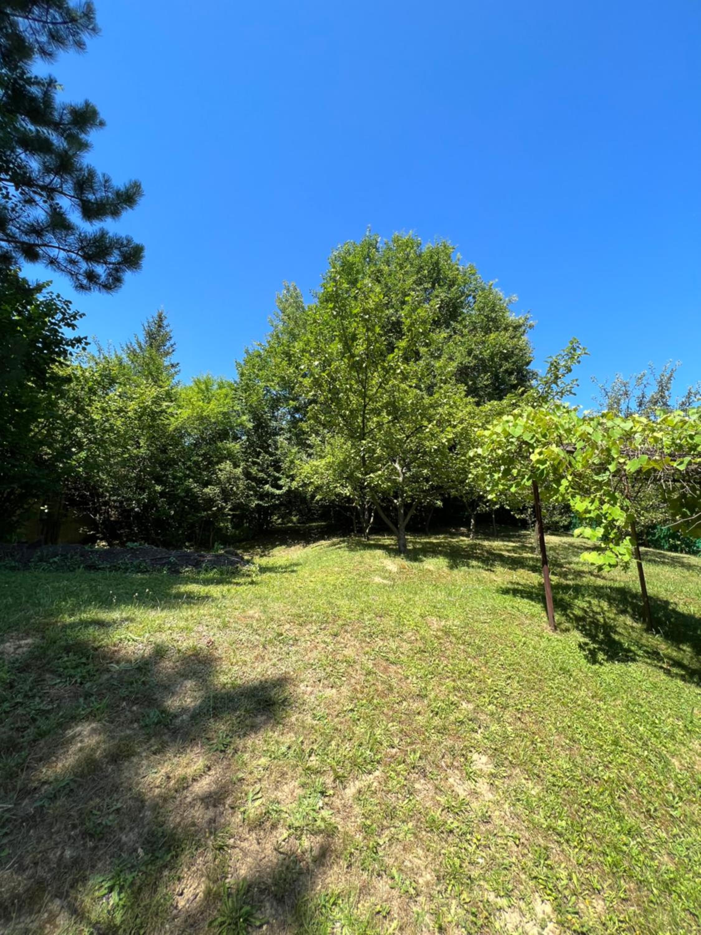 Best of Ilidza and Rakovica holiday HOME