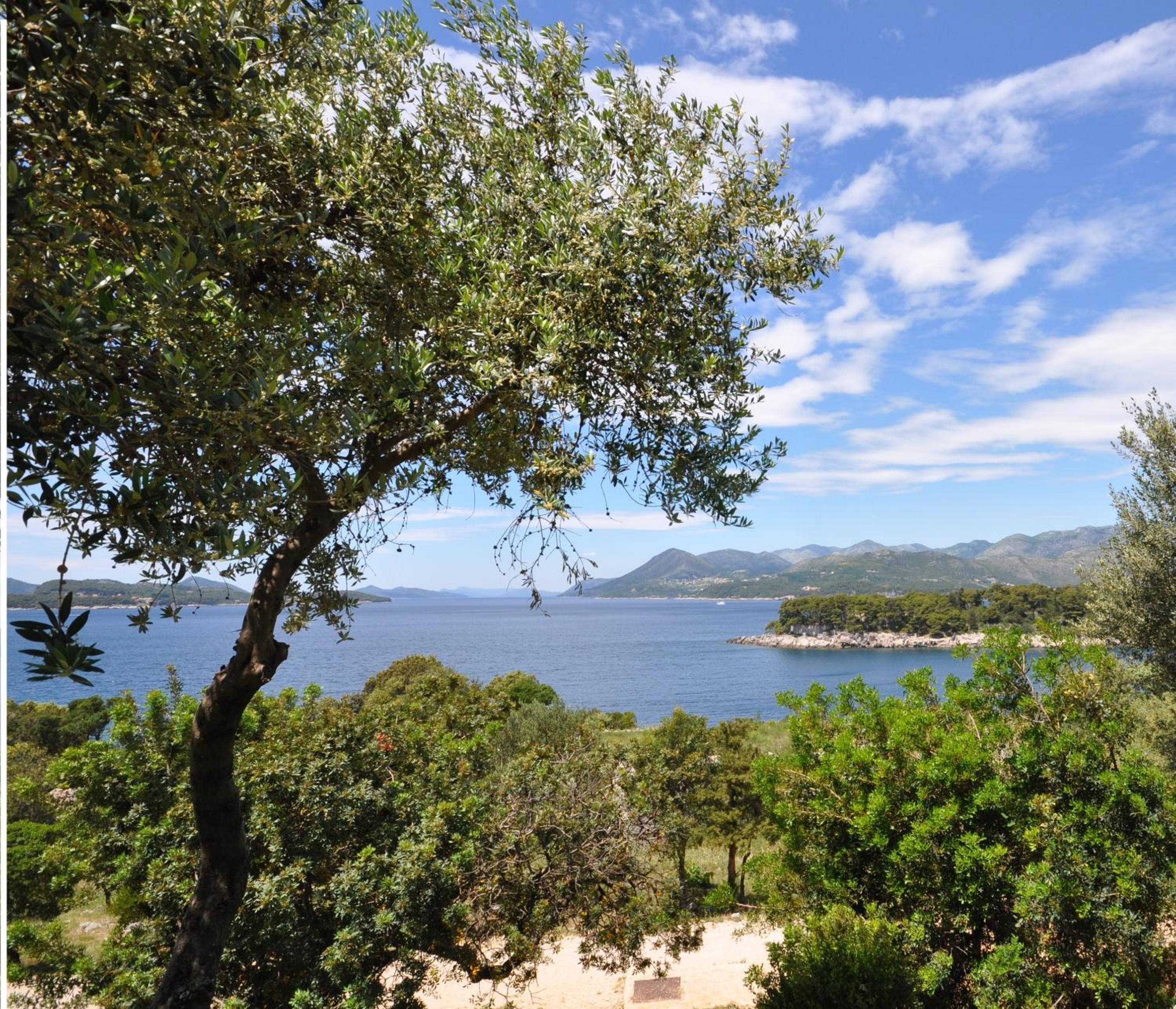 Adriatic Resort Apartments