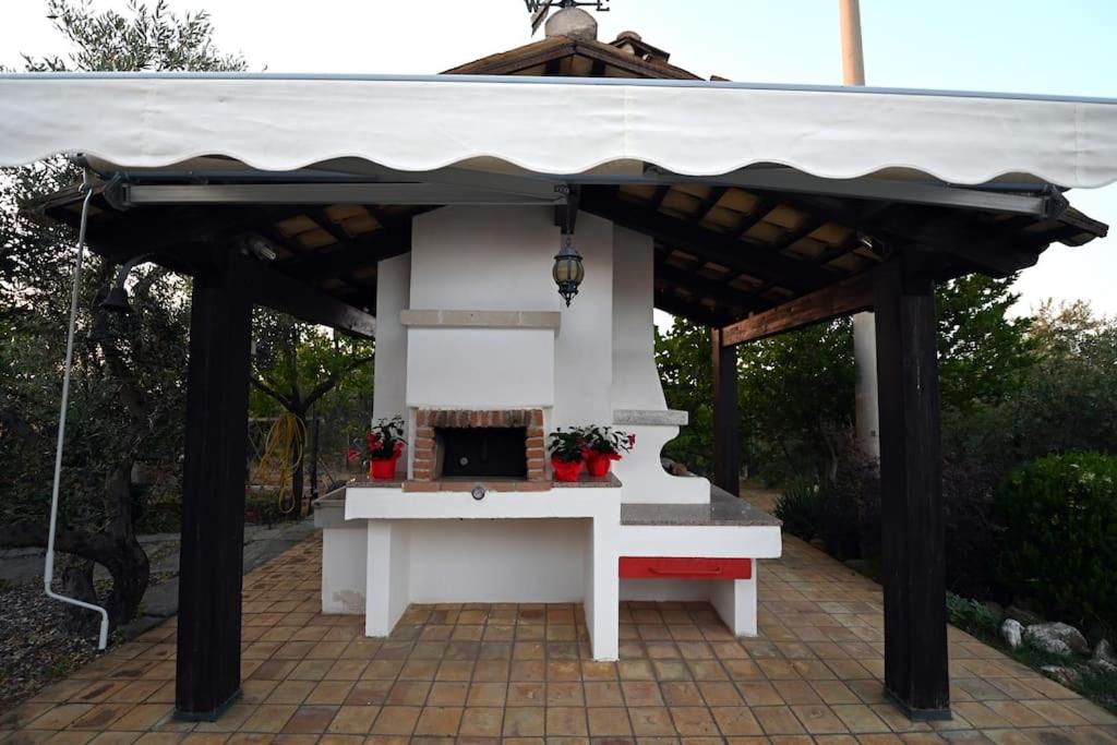 Photo 21