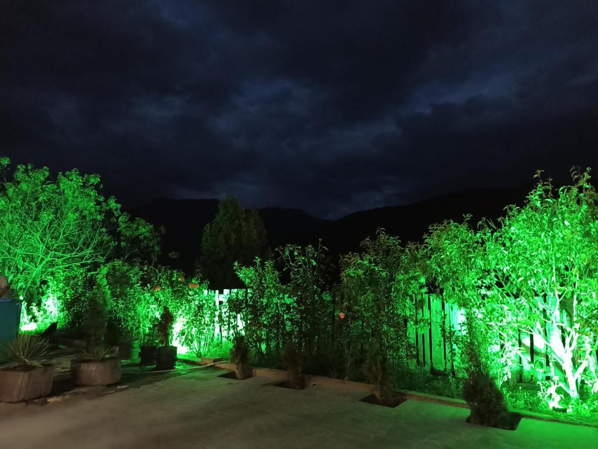 Green Garden