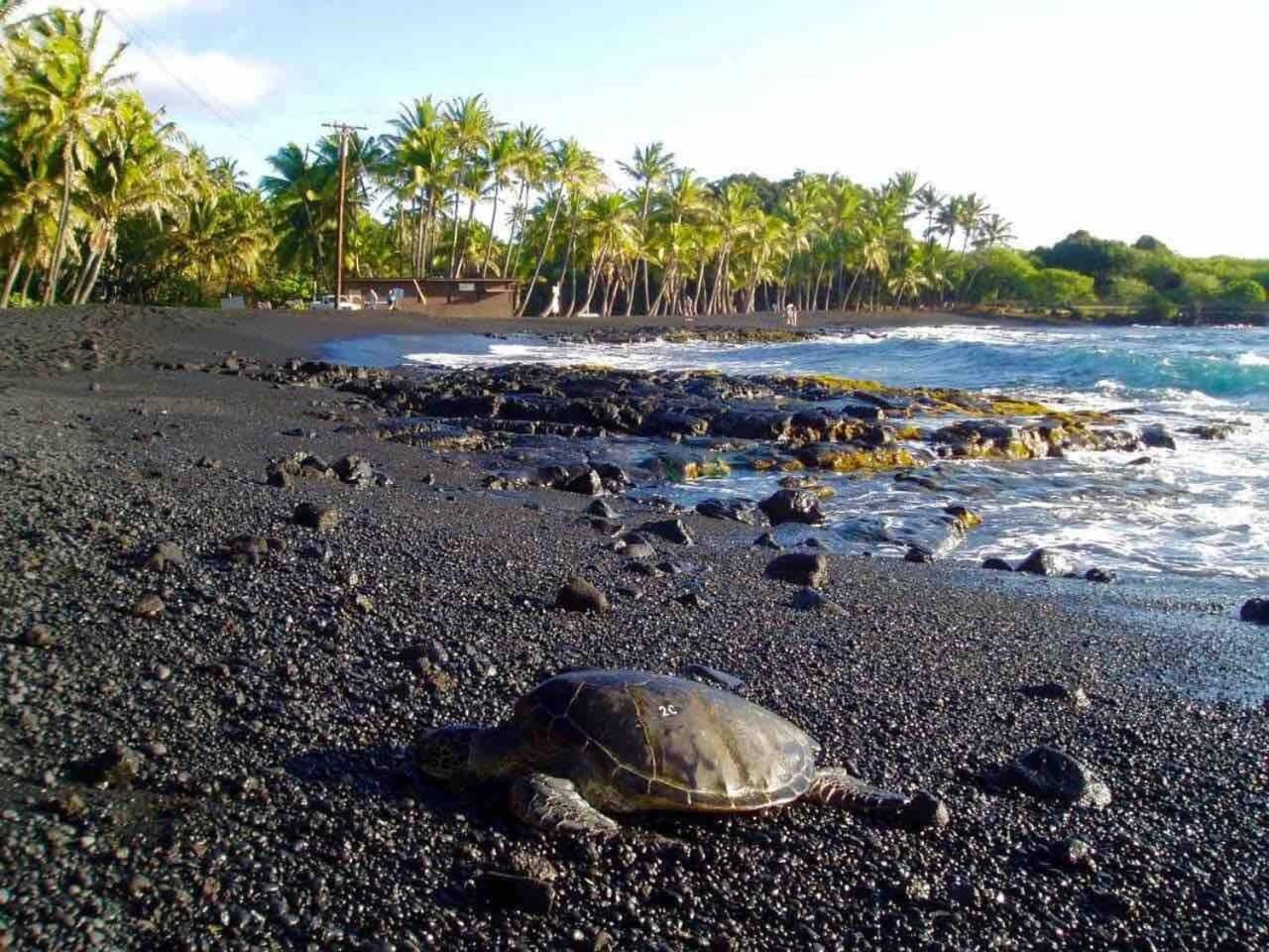 Kona Bay View Condo, Pool, Lanai, Walk to Town and Dining, AC, Free Parking
