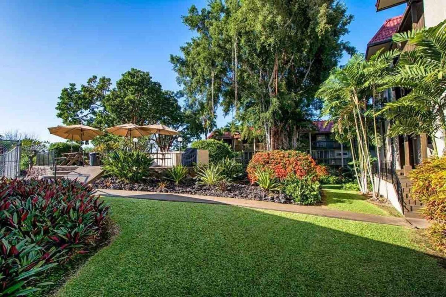 Kona Bay View Condo, Pool, Lanai, Walk to Town and Dining, AC, Free Parking