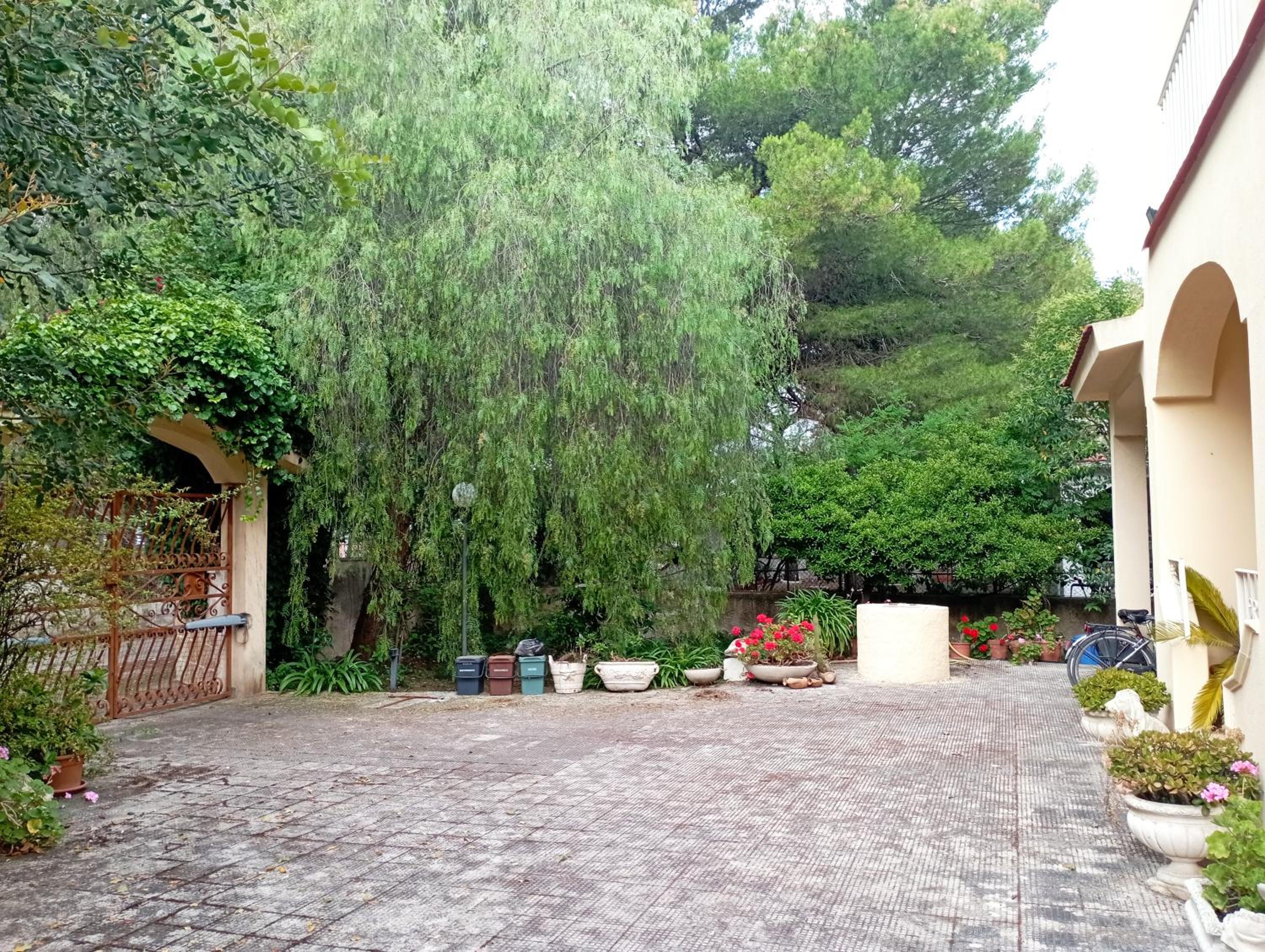 Photo 35