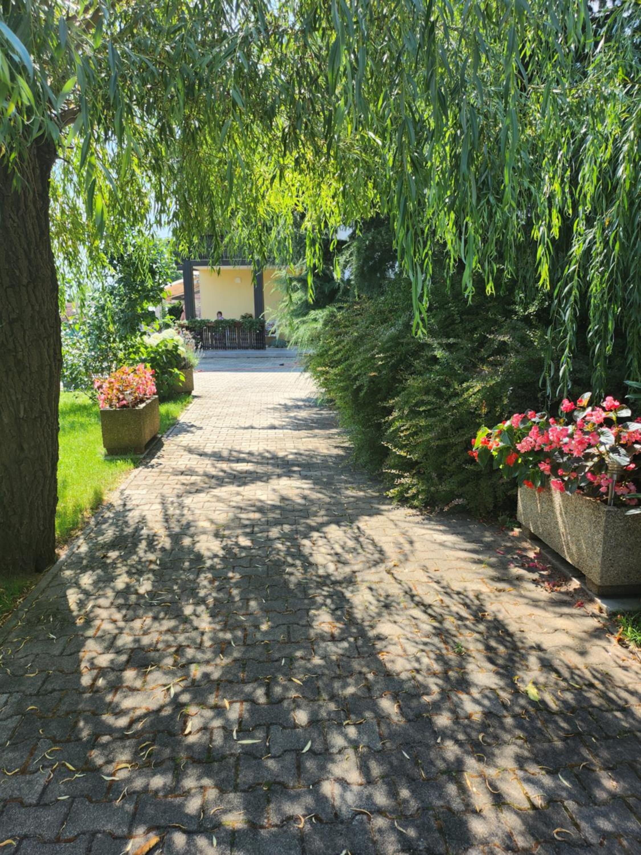 Photo 22