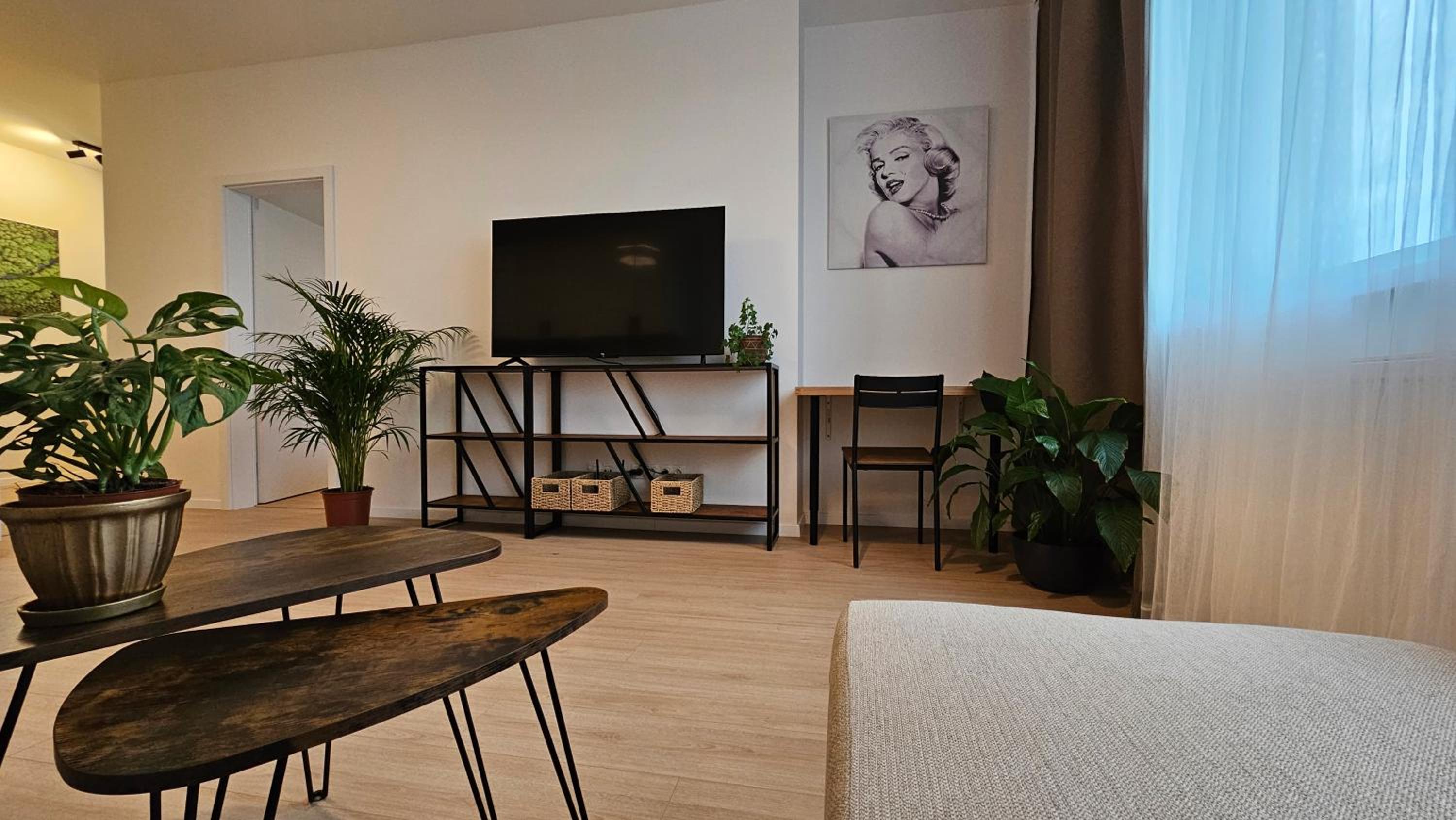 2 room Apartment with terrace, new building, 413 view 4