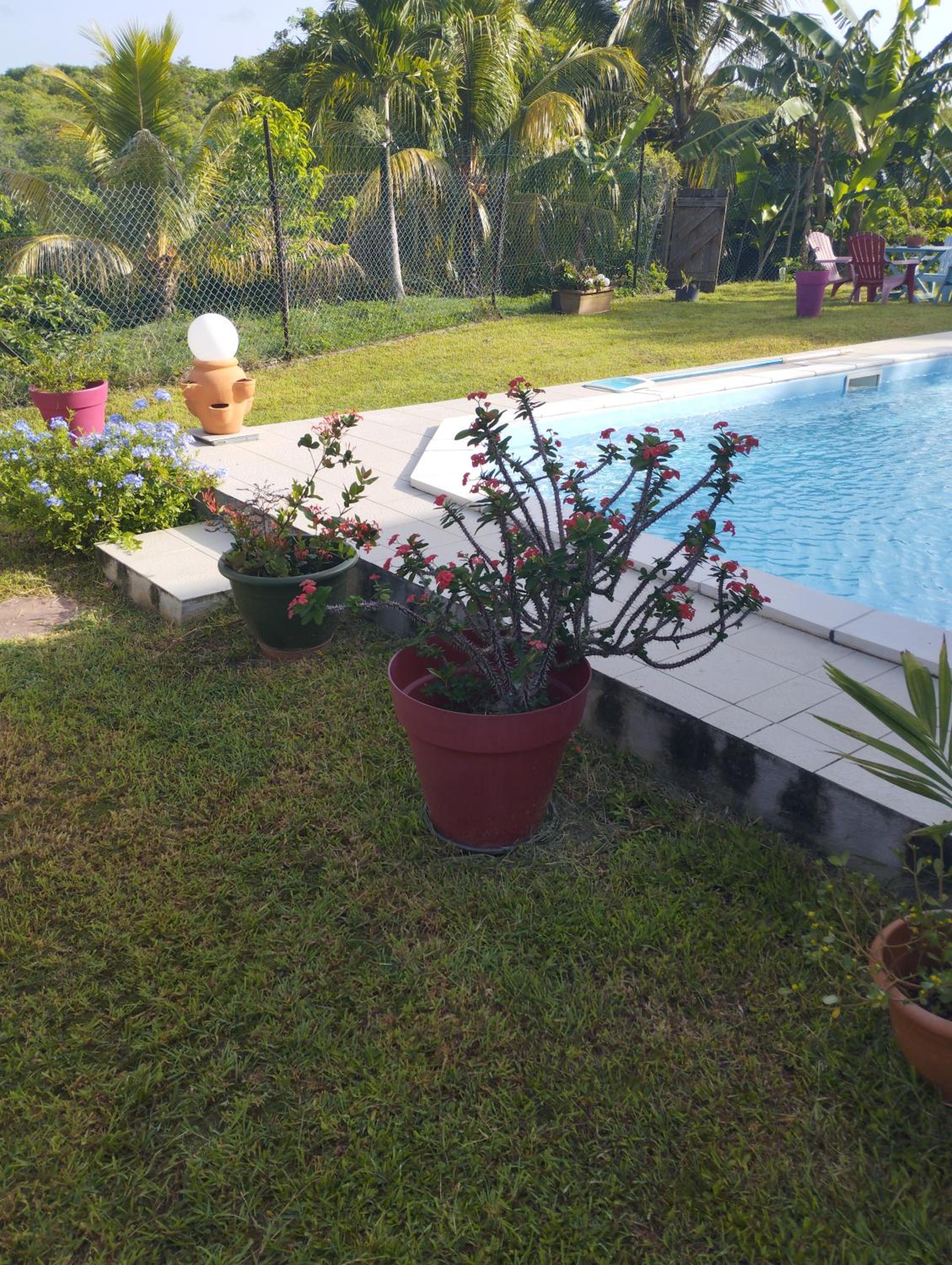 Zen paradise