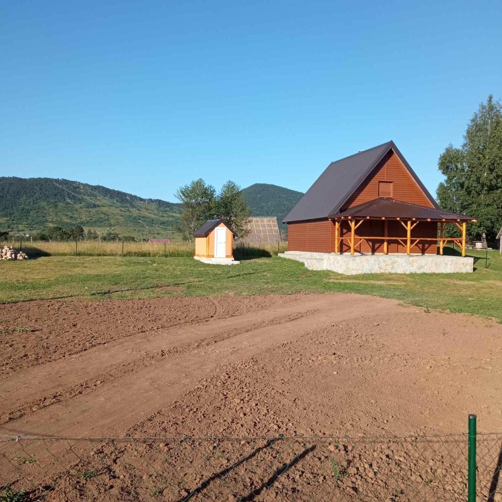 Photo 11